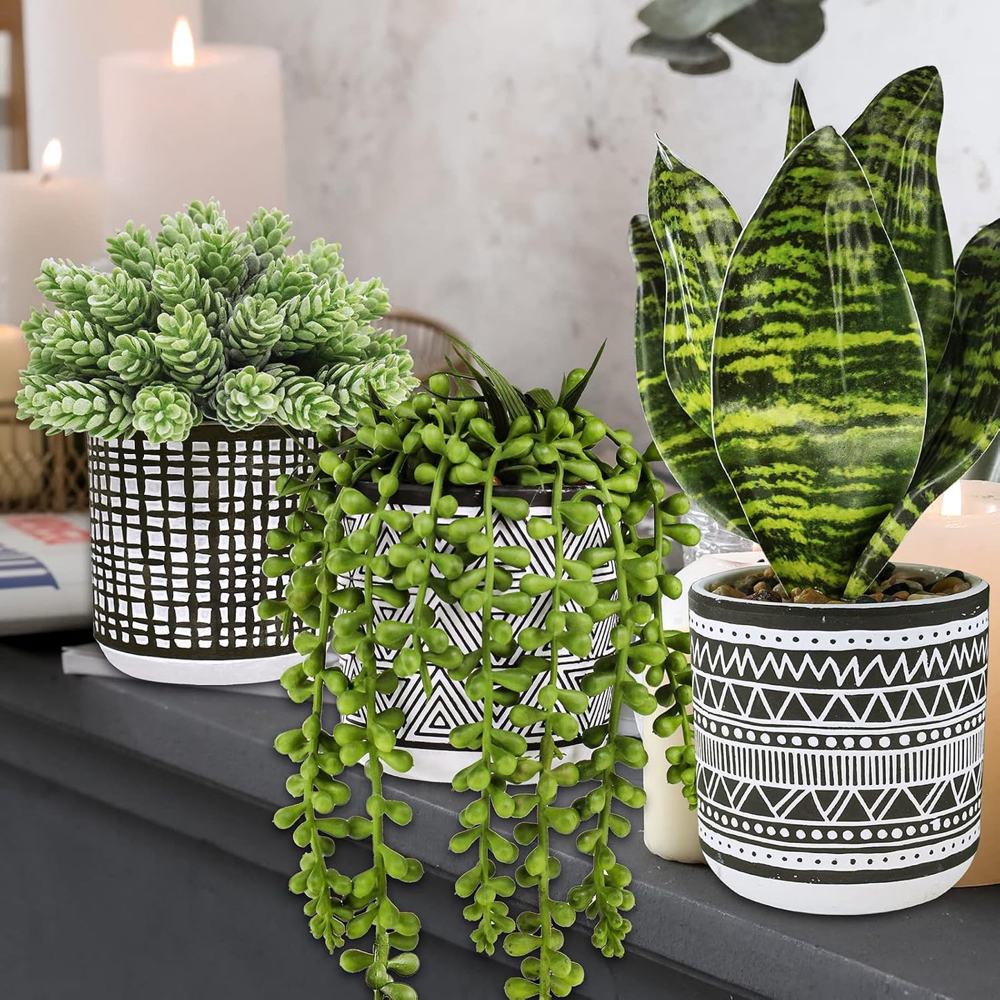 Small Potted Plants Artificial Succulents Hanging Plants and Faux Tropical Snake / Black / Set of 3
