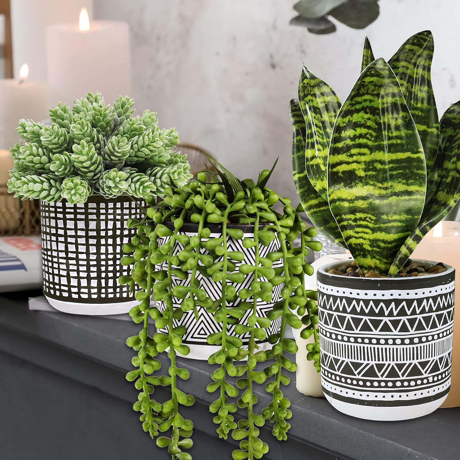 Small Potted Plants Artificial Succulents Hanging Plants and Faux Tropical Snake / Black / Set of 3