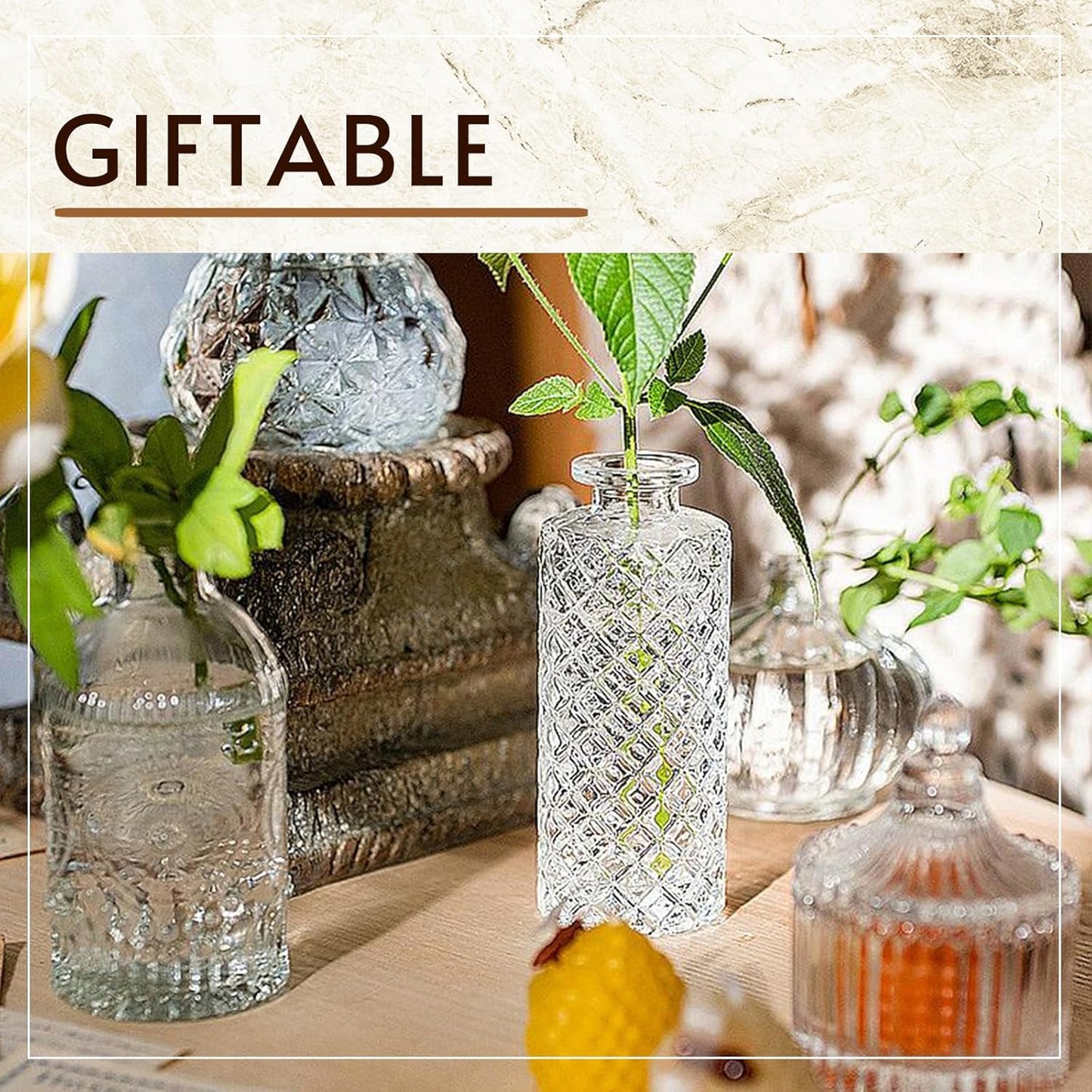 Bud Vase / Small Flower Vases for Decorative / Clear+green / Set of 6