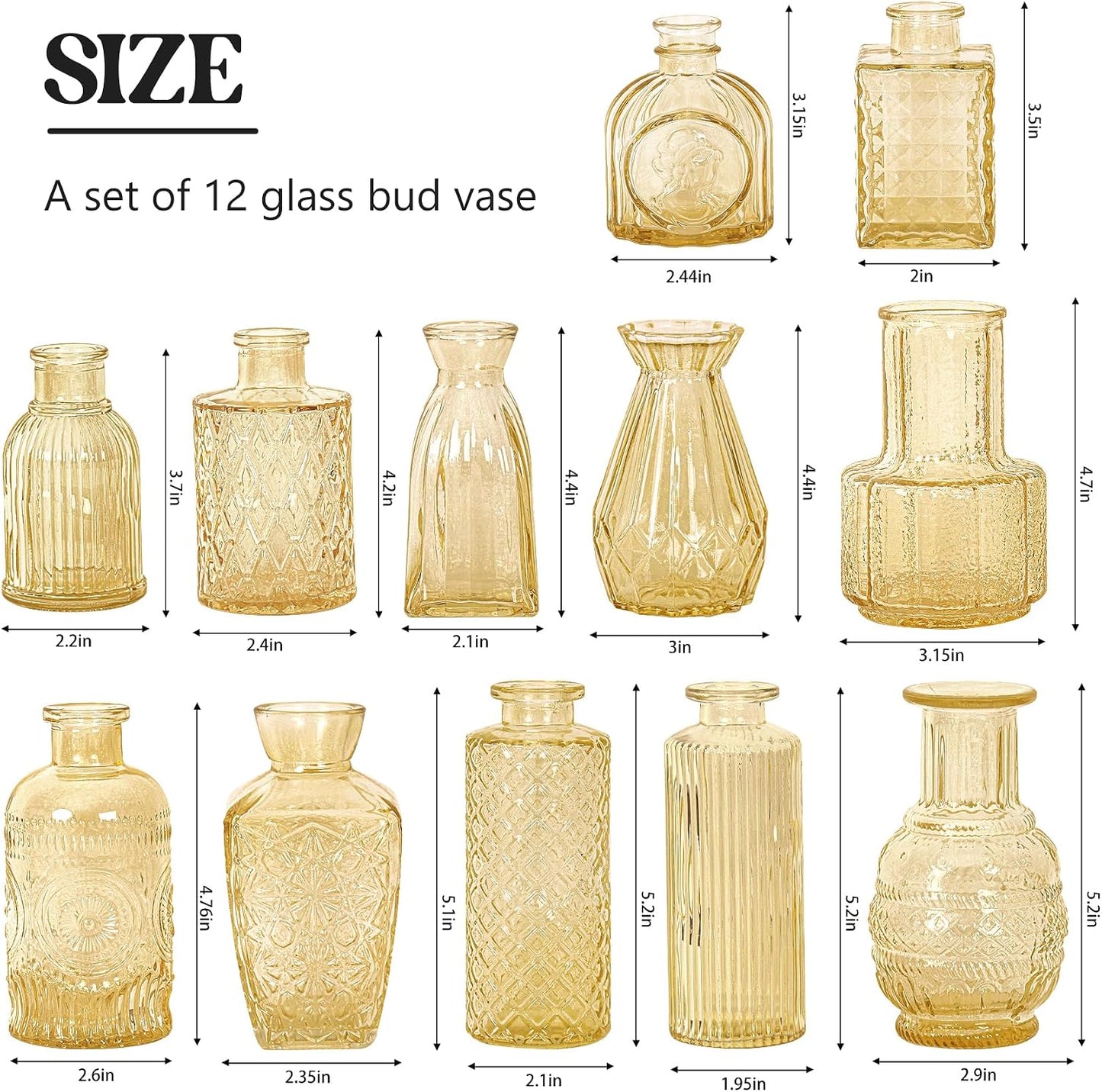 Glass Bud Vase Set / Champagne / Clear / Set of 12