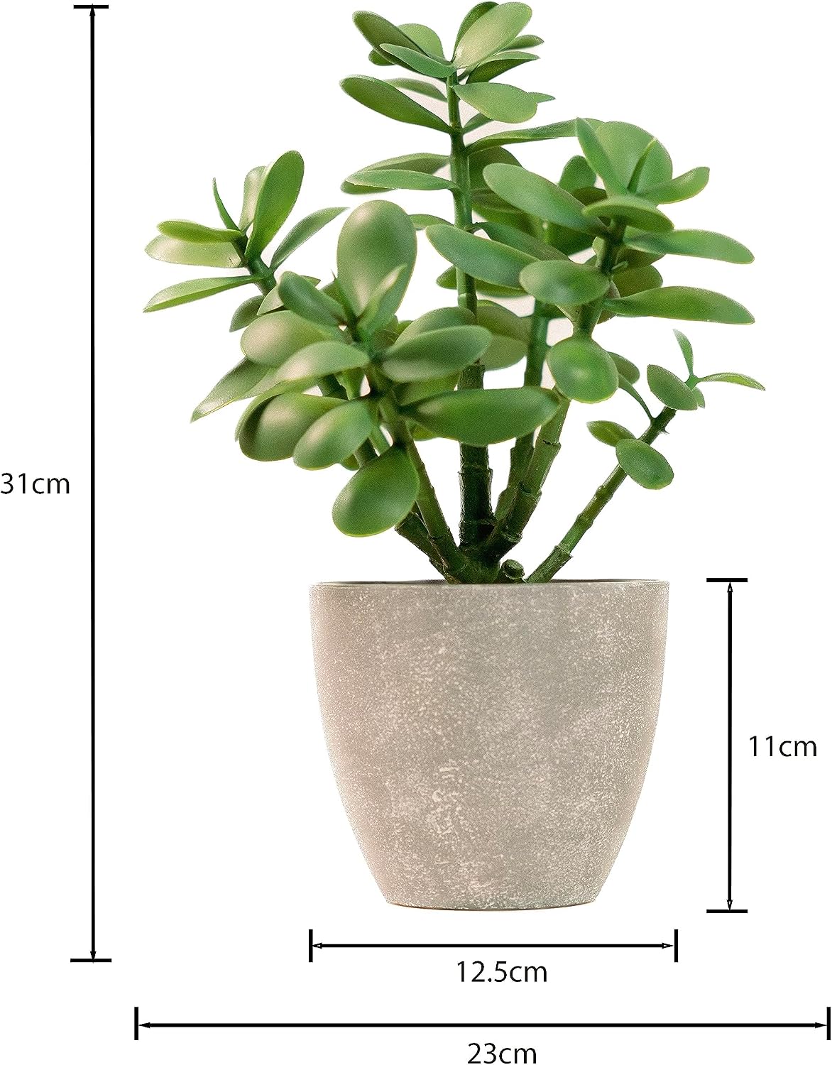 365 Blooming Decor 12" Artificial Jade Plant in Minimalist Gray Pot / Green