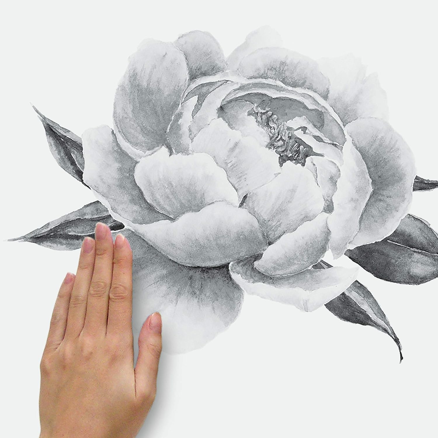 RMK4413GM and White Peonies Giant Floral Peel and Stick Wall Decals / Black