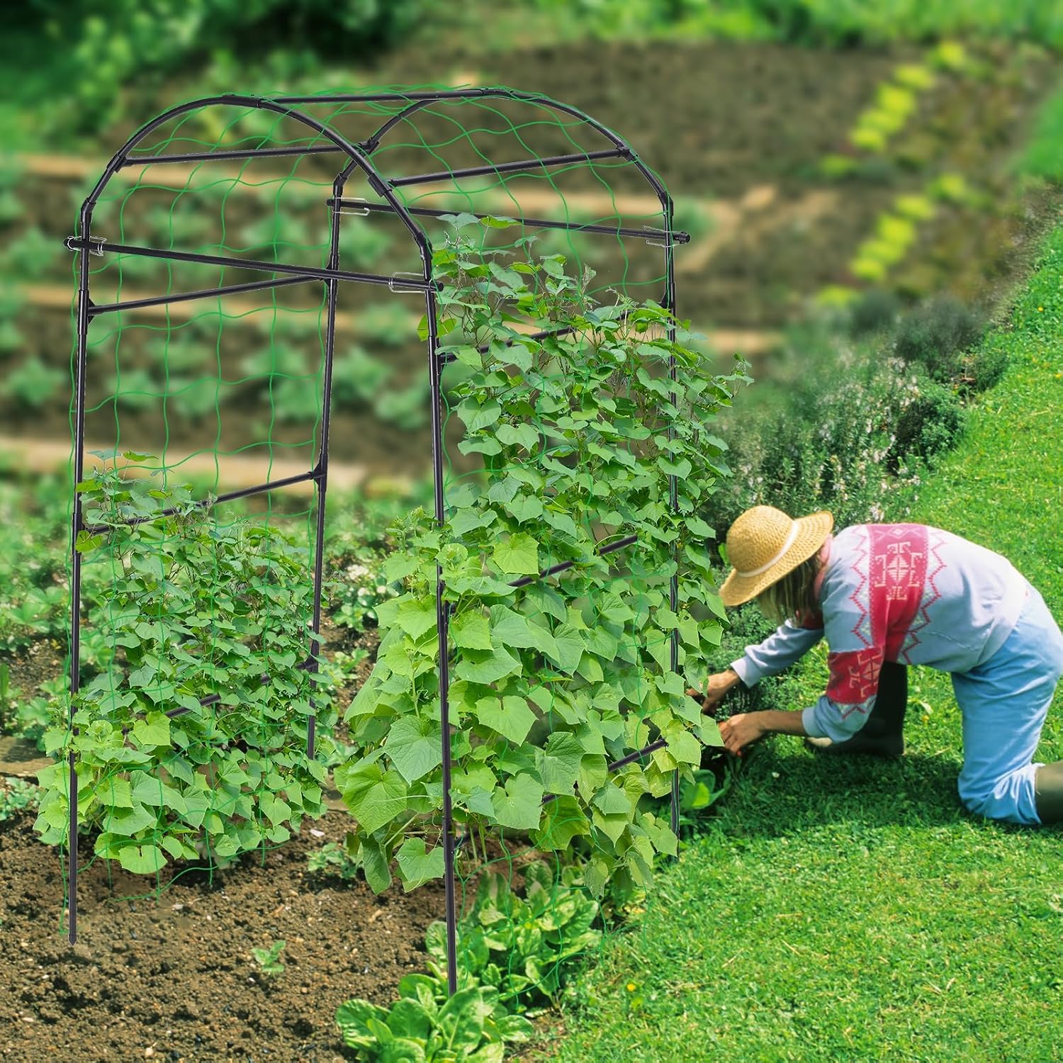 FOLLOOK 6.7FT Garden Arch Trellis for Climbing Plants Outdoor, Black | Metal Cucumber Trellis for Raised Beds with