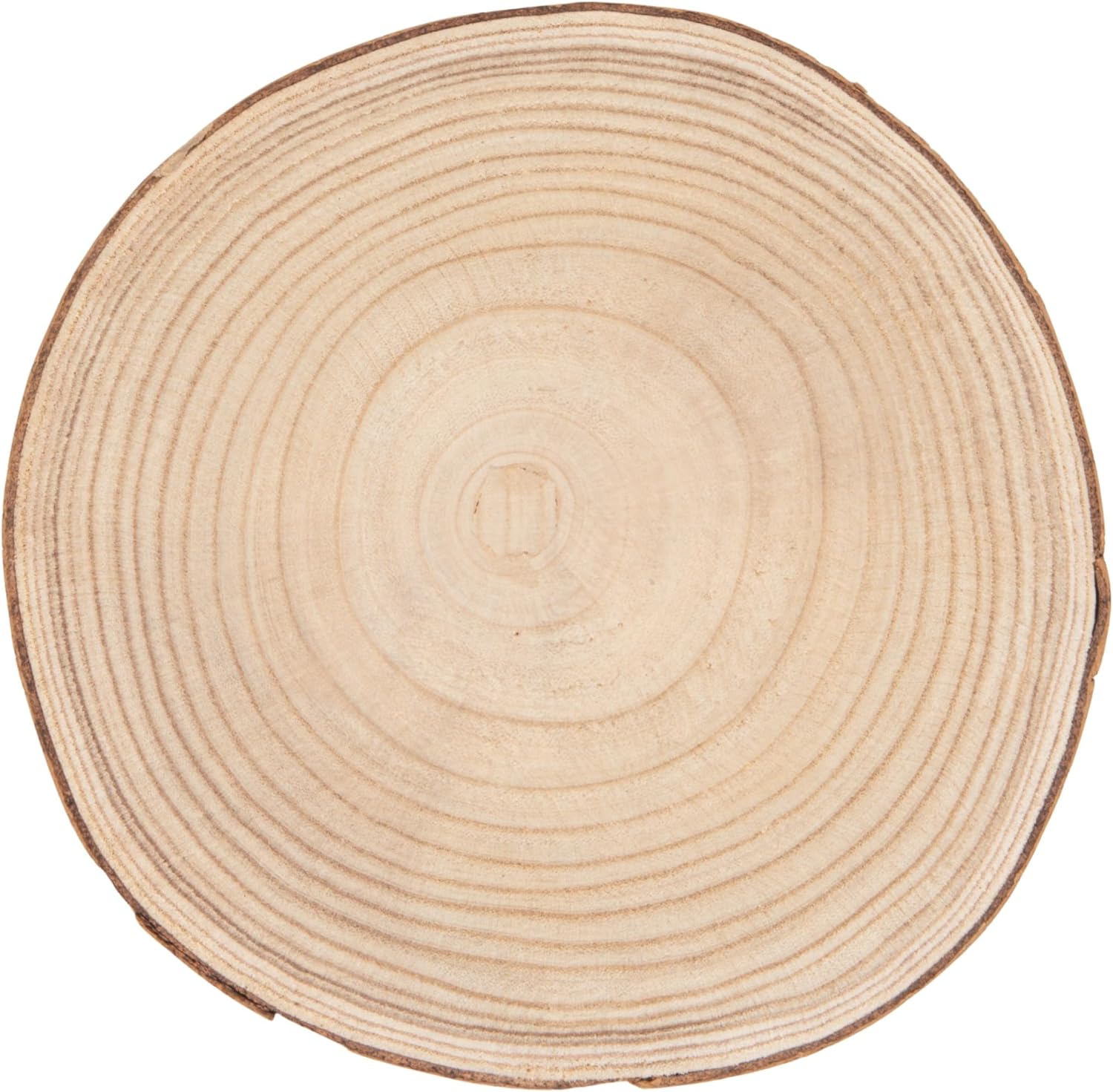 Large Paulownia Wood Pedestal / Raw Finish / Set of 11