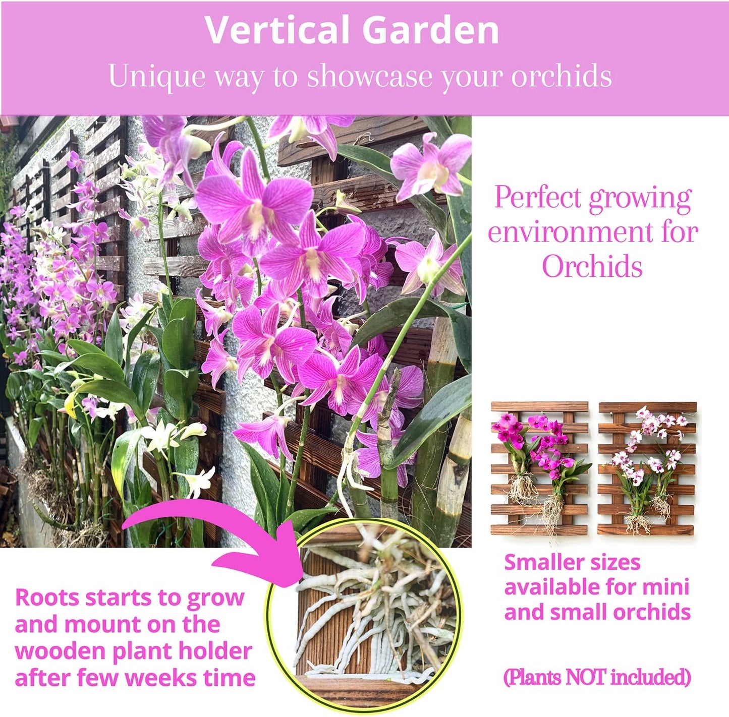 ShopLaLa Wall Planter for Climbing Plants Outdoor (150cm) Hanging Planters | Wooden Living Vertical Garden Outdoor