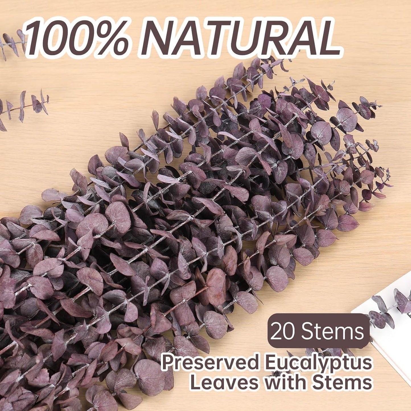 17'' Natural Real Live Eucalyptus Leaves Branches Hanging Shower / Purple / Set of 20