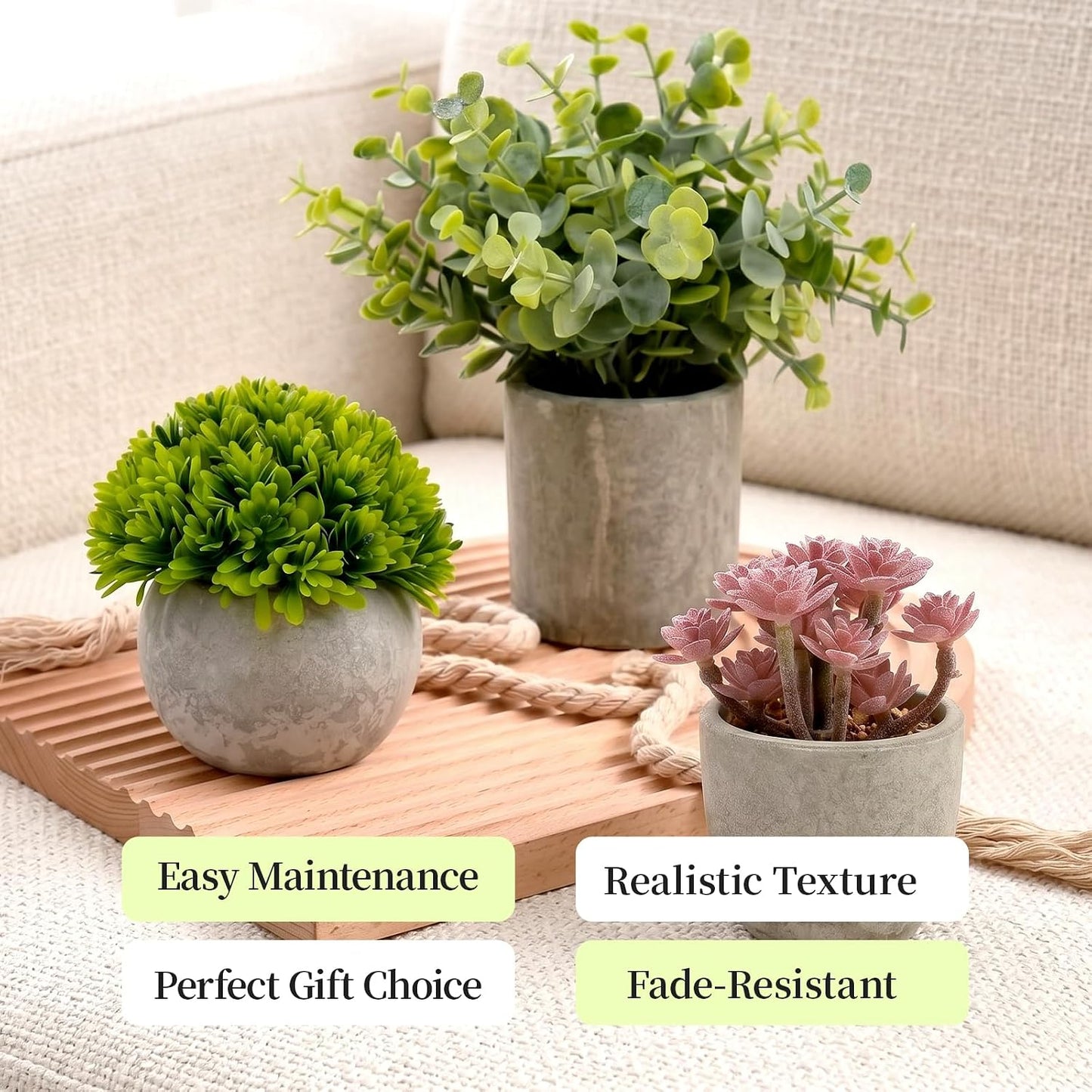 Artificial Plants Indoor Eucalyptus/Four-Leaf Clover/Succulent Light /Succulent / Purple / Set of 6
