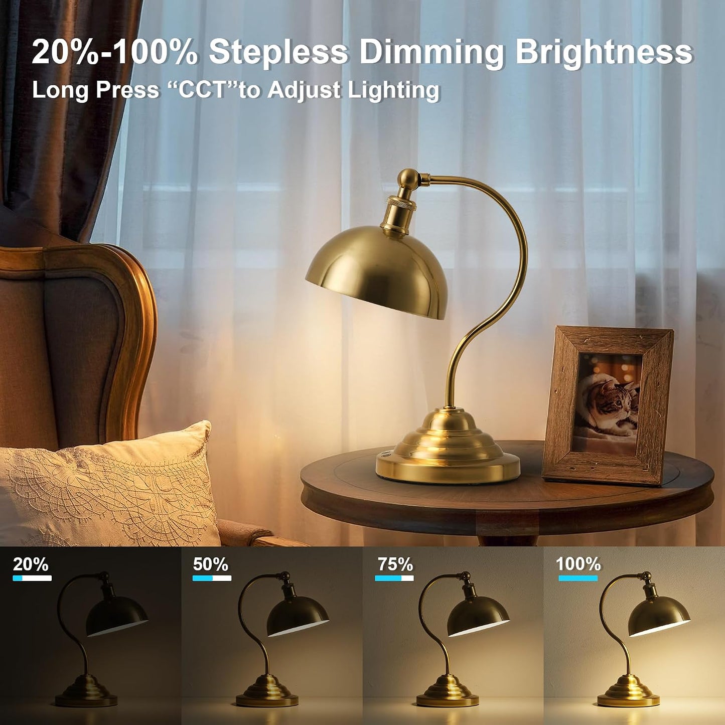 Battery Operated Desk Lamps / Brass