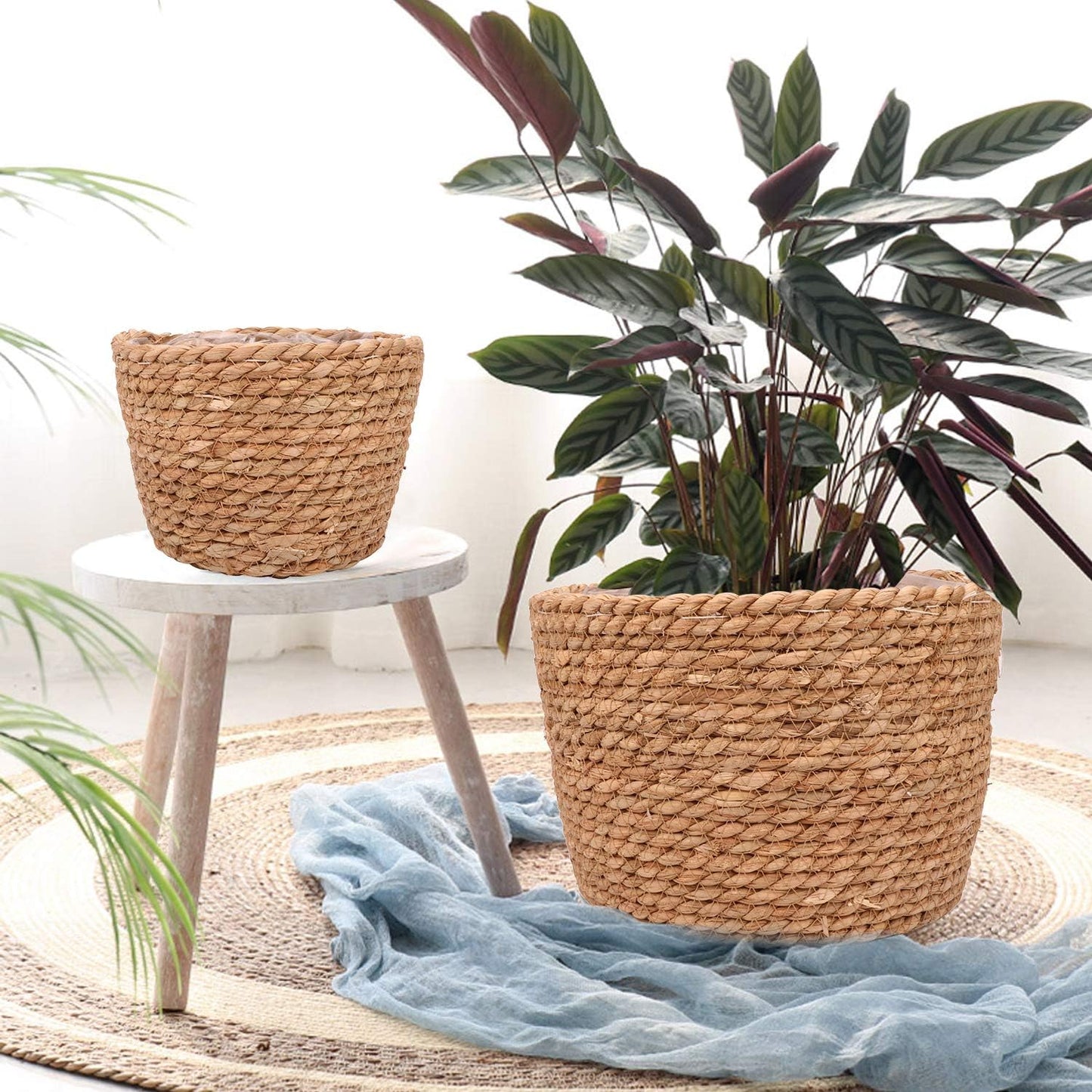 Seagrass Planter Basket Stylish Planter Baskets