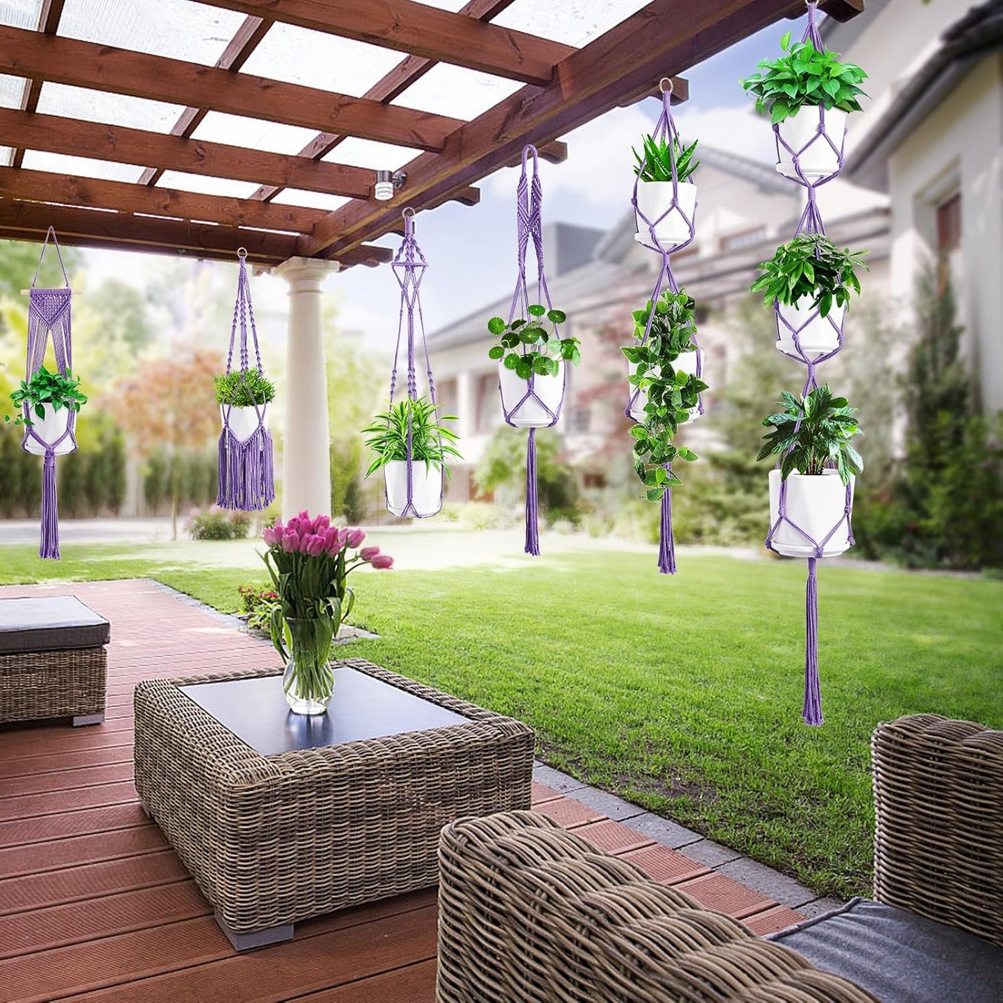 Macrame Plant Hangers / Purple / Set of 6