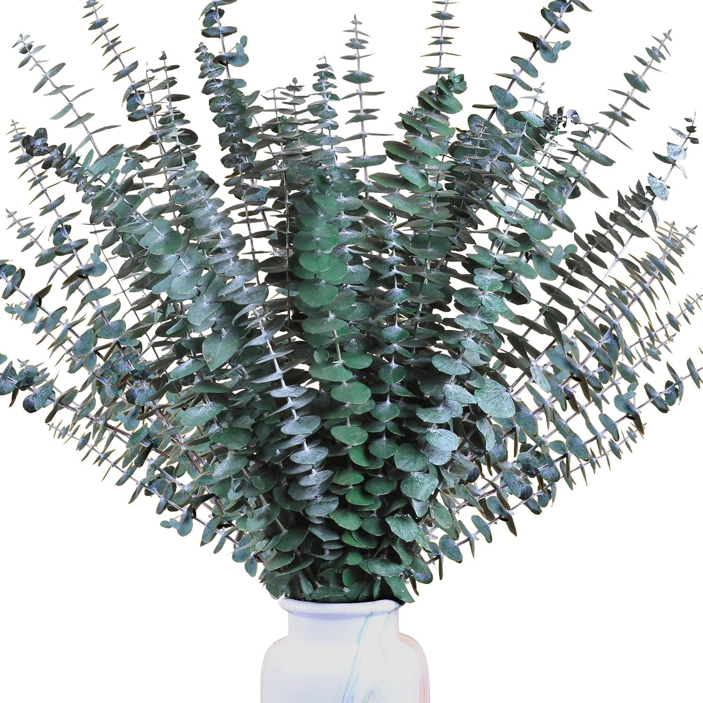 Fresh Branches for Vase / Natural / Set of 30