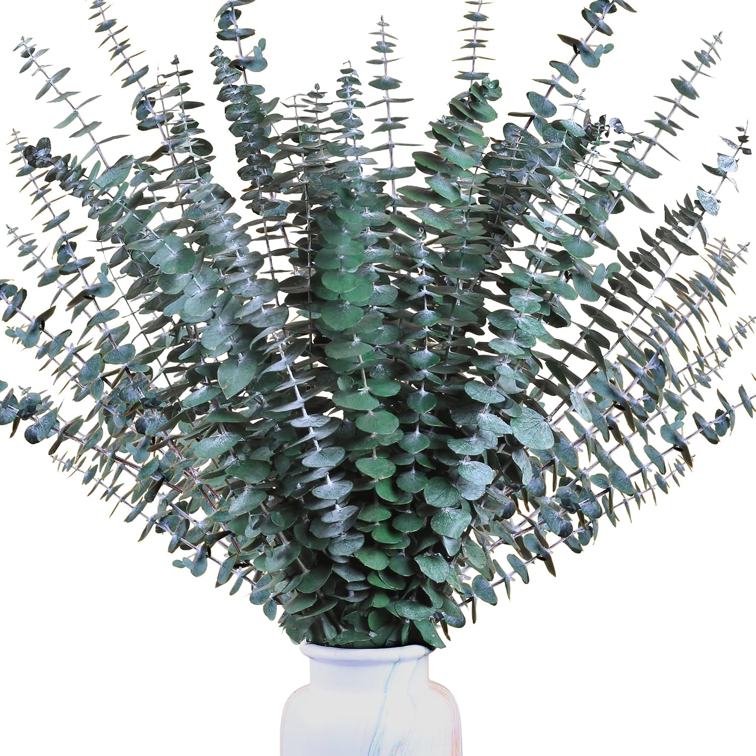 Fresh Branches for Vase / Natural / Set of 30