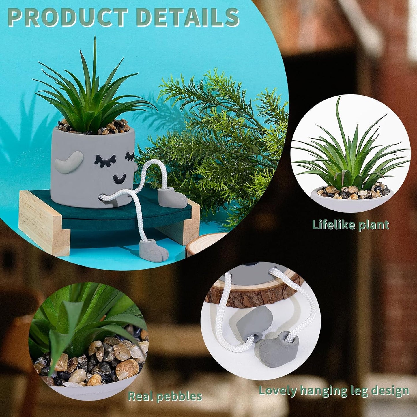 Artificial Succulents Plants in Cement Pots / Shy
