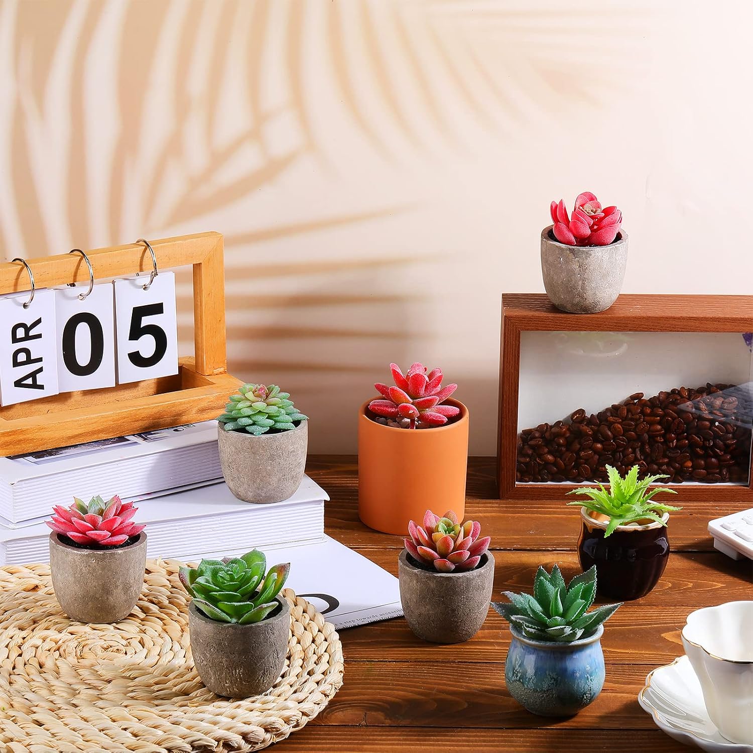 Bulk Mini Artificial Succulents Plants Assorted Unpotted Realistic Plants / Normal Style / Set of 50