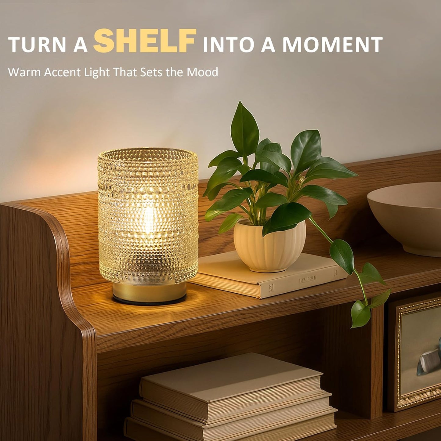 Small Battery operated Lamp / Transparent