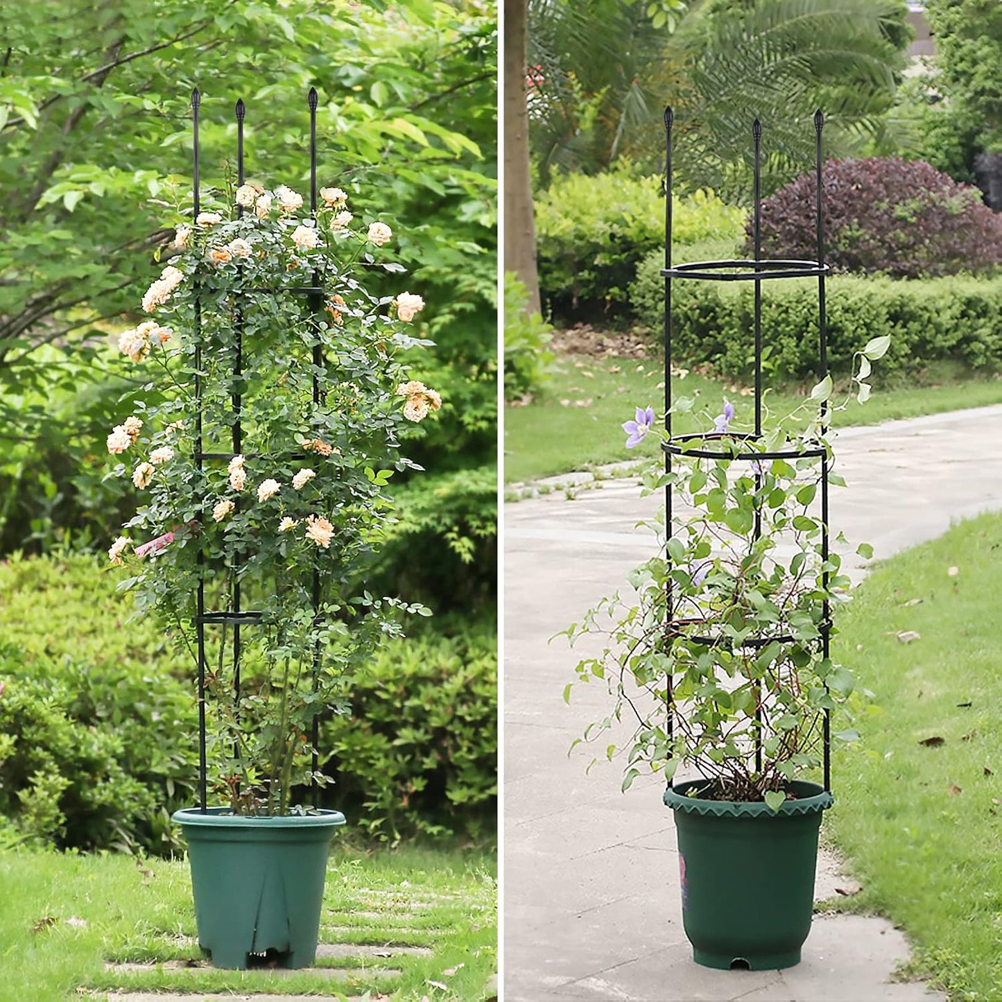 2 Pack Garden Trellis, 2 in 1 Plant Cages & Supports for Vines Crop, Potted/Climbing Plants Indoor Outdoor, Plant Stake