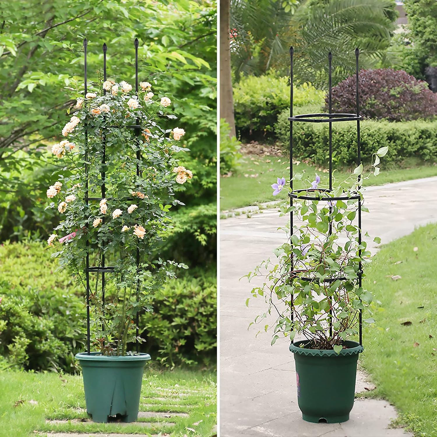 2 Pack Garden Trellis, 2 in 1 Plant Cages & Supports for Vines Crop, Potted/Climbing Plants Indoor Outdoor, Plant Stake