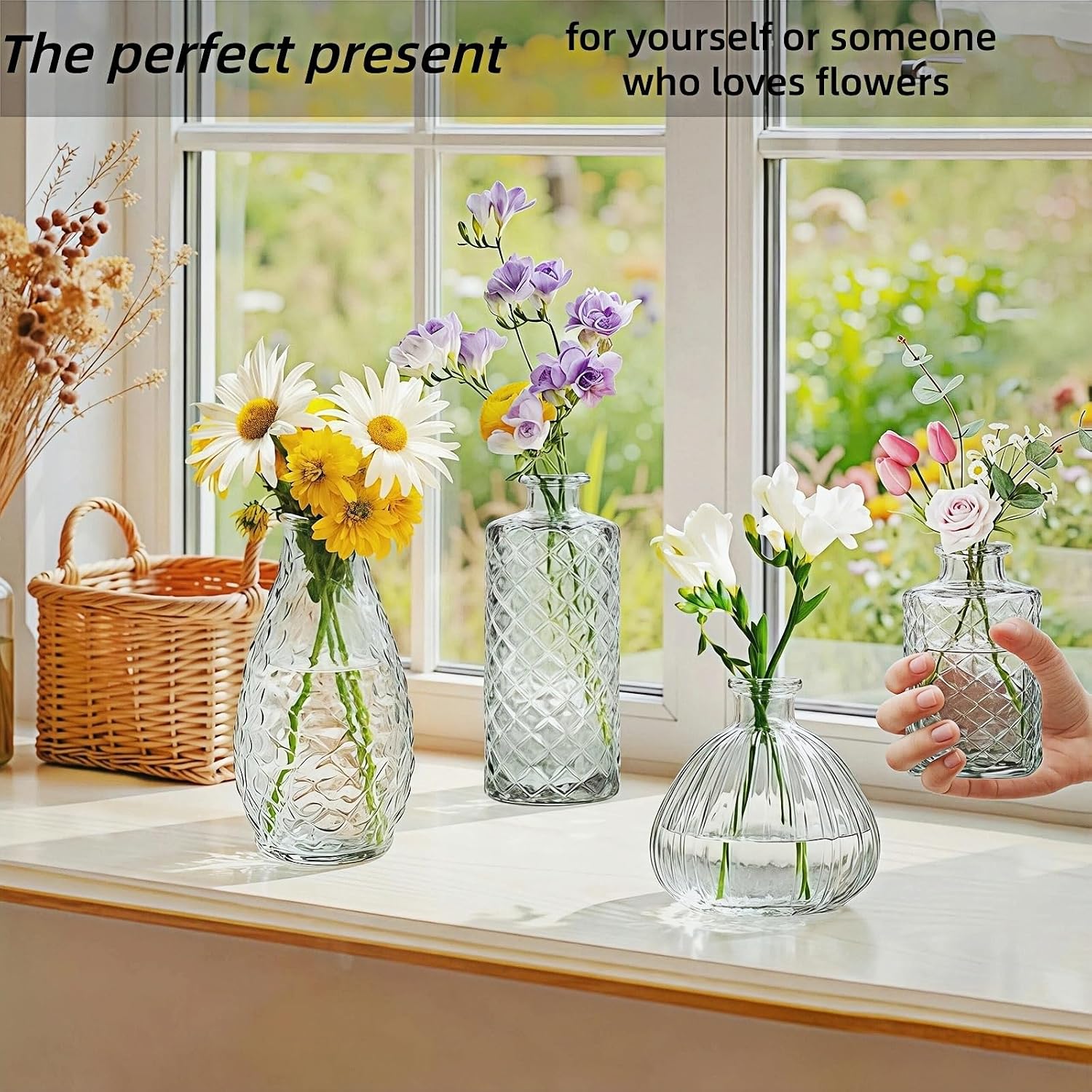 Glass Bud Vases / A / Clear / Set of 4