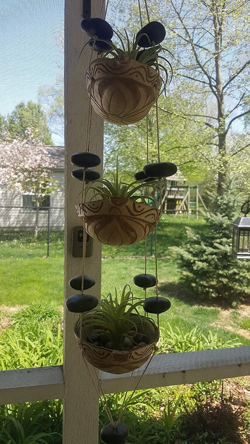 Artificial Air Plants Faux Succulents Plants Unpotted Small Tillandsia Look Real in Flocked / Green