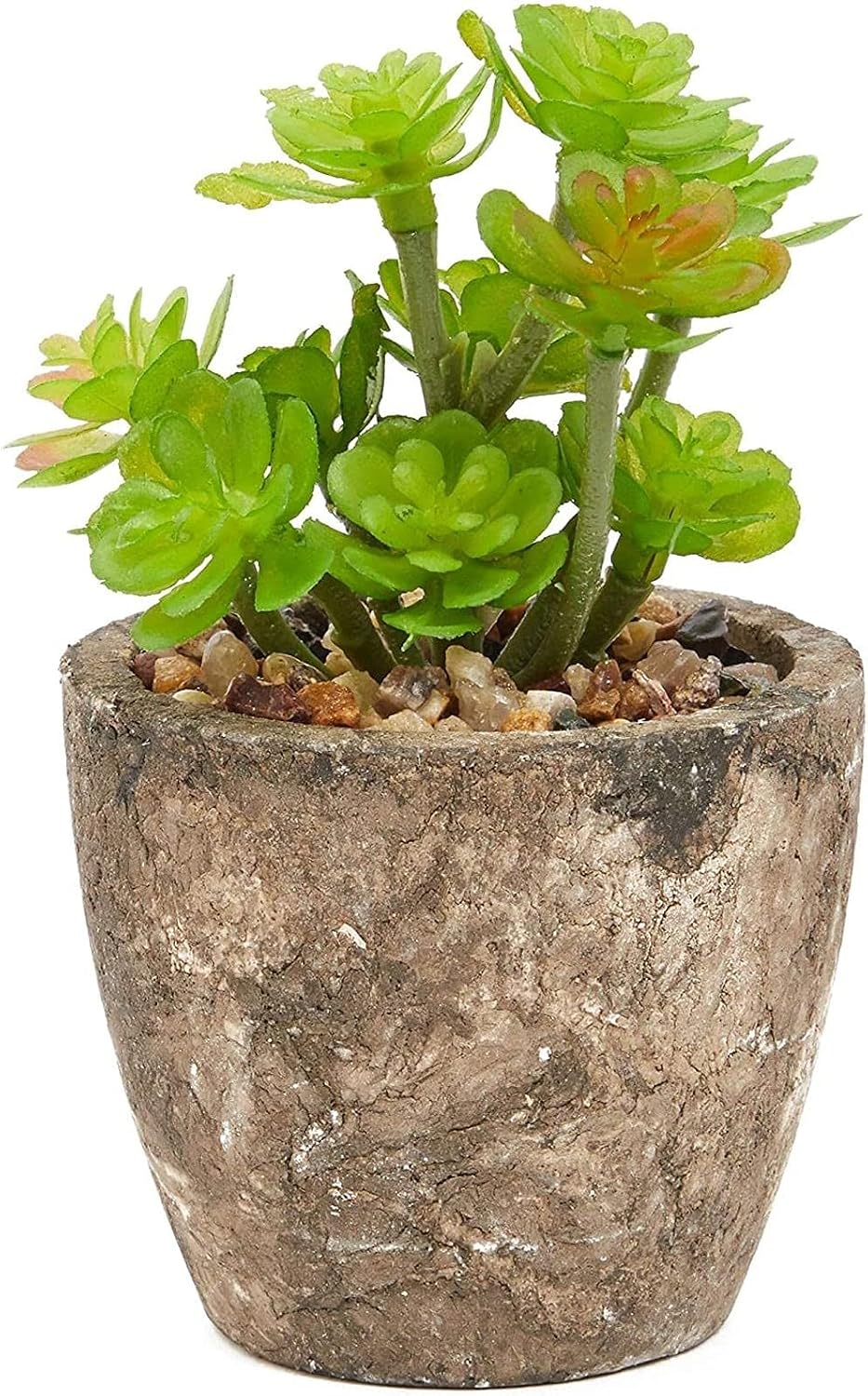 Maintenance-Free Artificial Plants