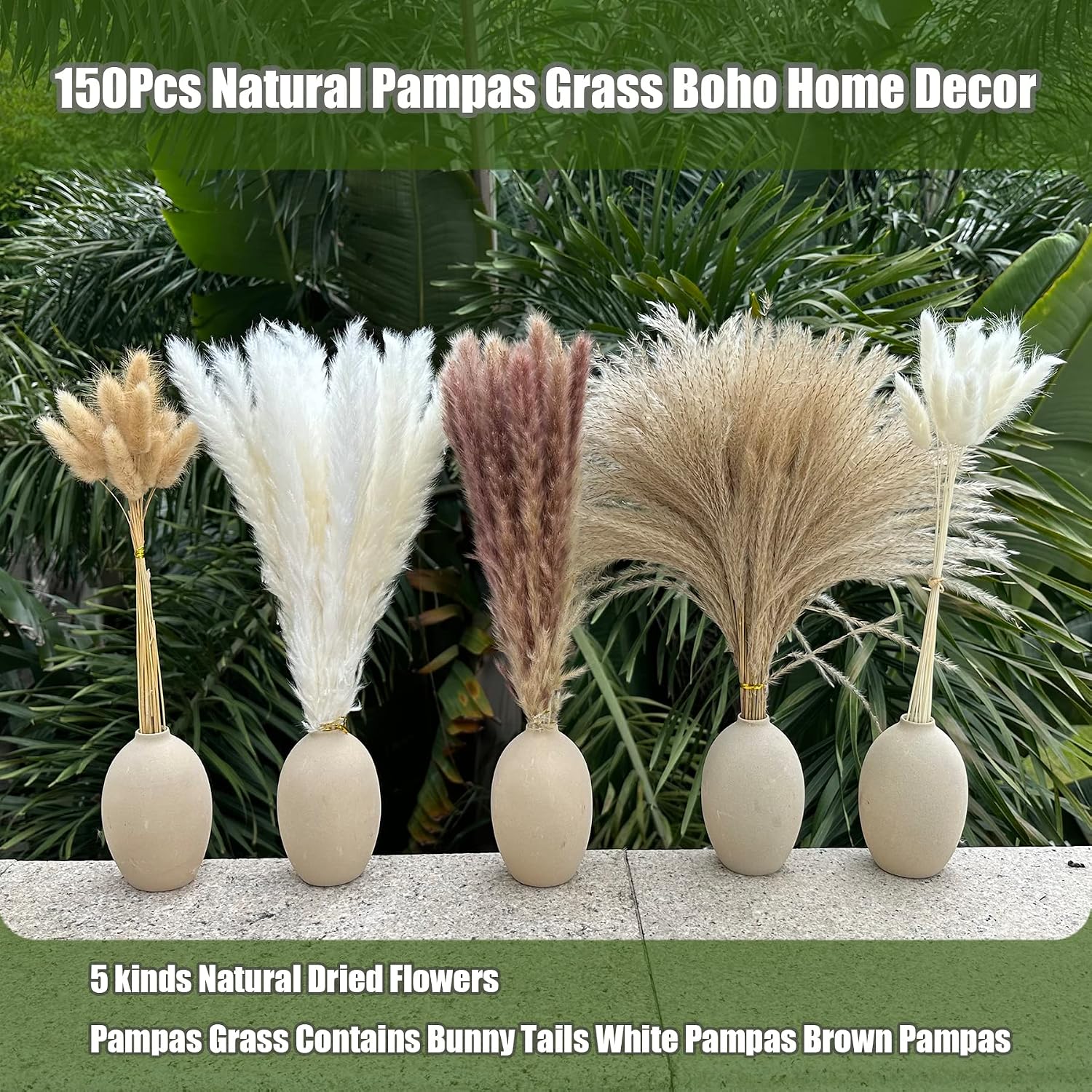 Pampas Grass Boho Home Decor 17- Dried Flowers-Pampas Grass Contains Bunny / Natural / Set of 150