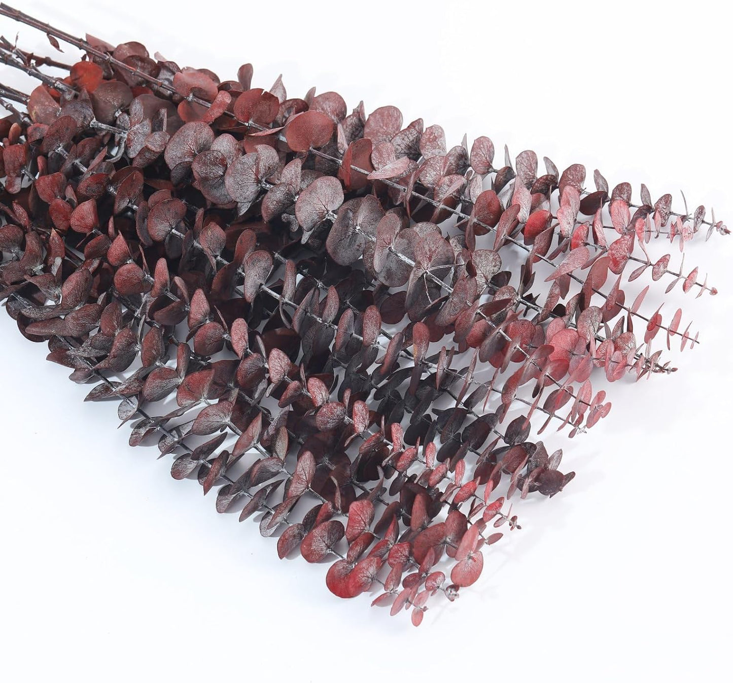 17'' Natural Fresh Eucalyptus Leaves Branches Hanging for Shower / Red / Set of 16
