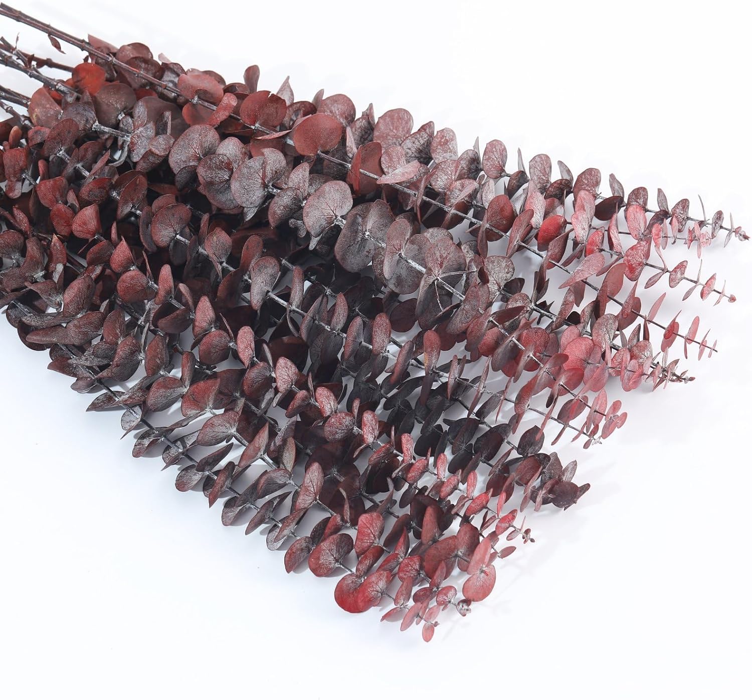 17'' Natural Fresh Eucalyptus Leaves Branches Hanging for Shower / Red / Set of 16