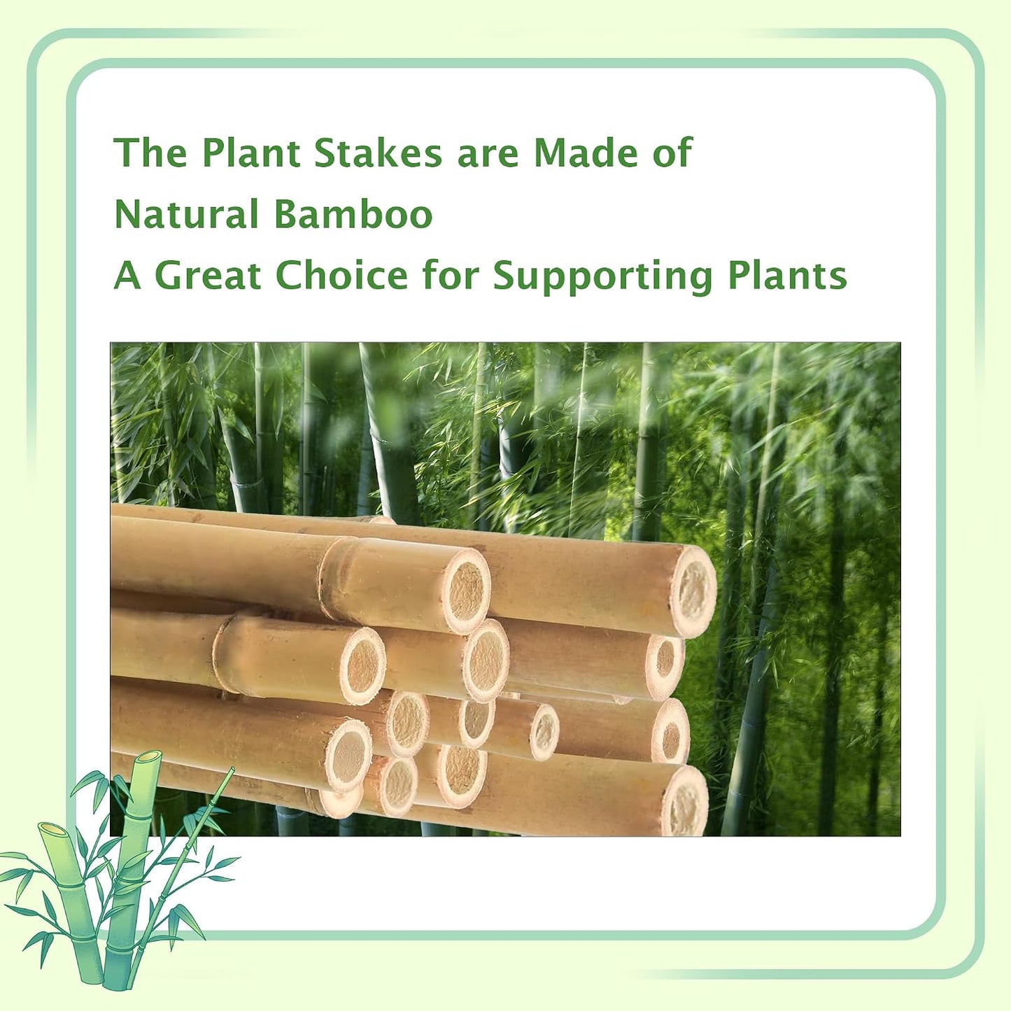 Bamboo Stakes 8FT, 8 Feet Natural Bamboo Plants Stakes, 1" D Thicker Heavy Duty Garden Stakes 10 Pack for Tomatoes