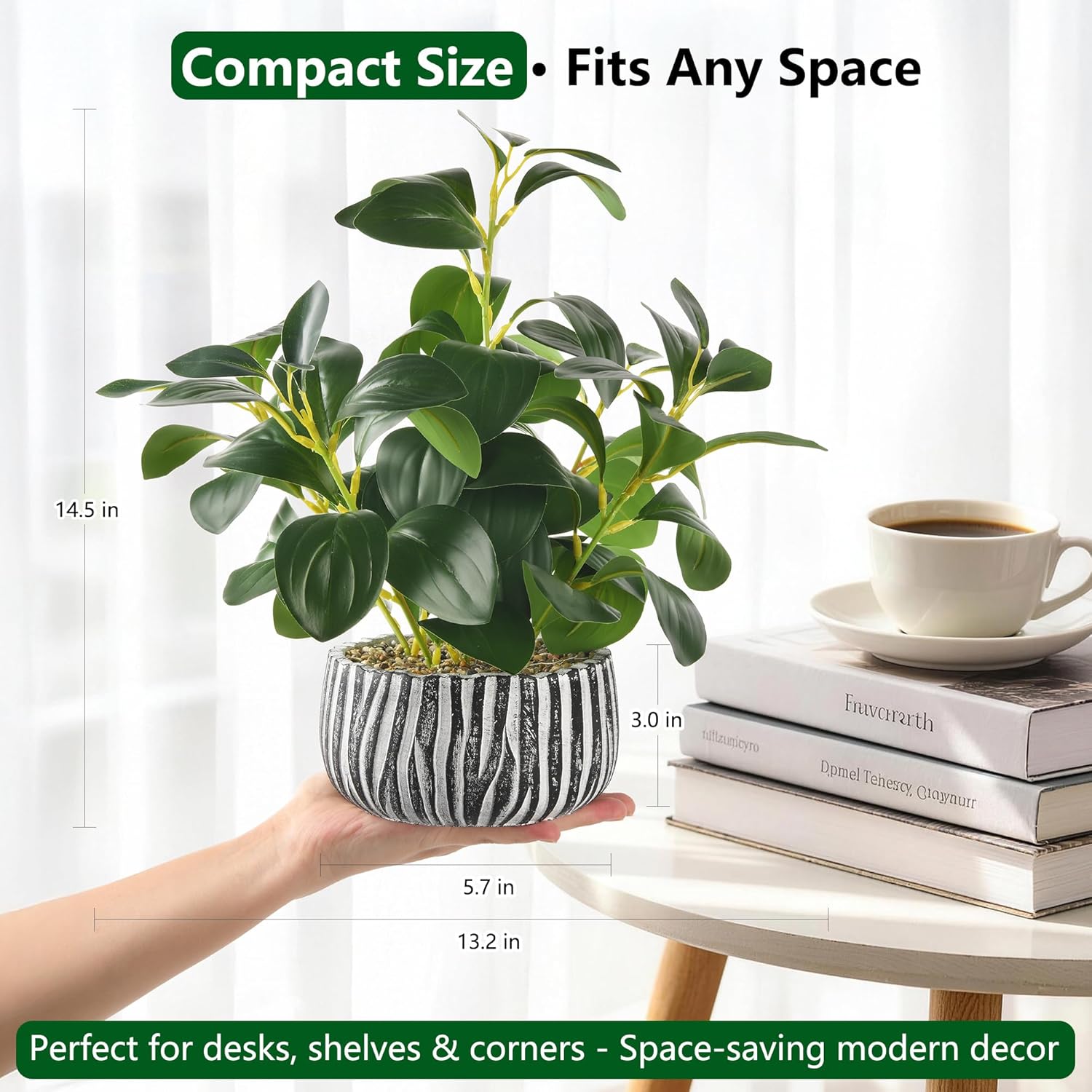 Fig Leaf Greenery in Rustic Clay Planter / White & Black Cement Planter