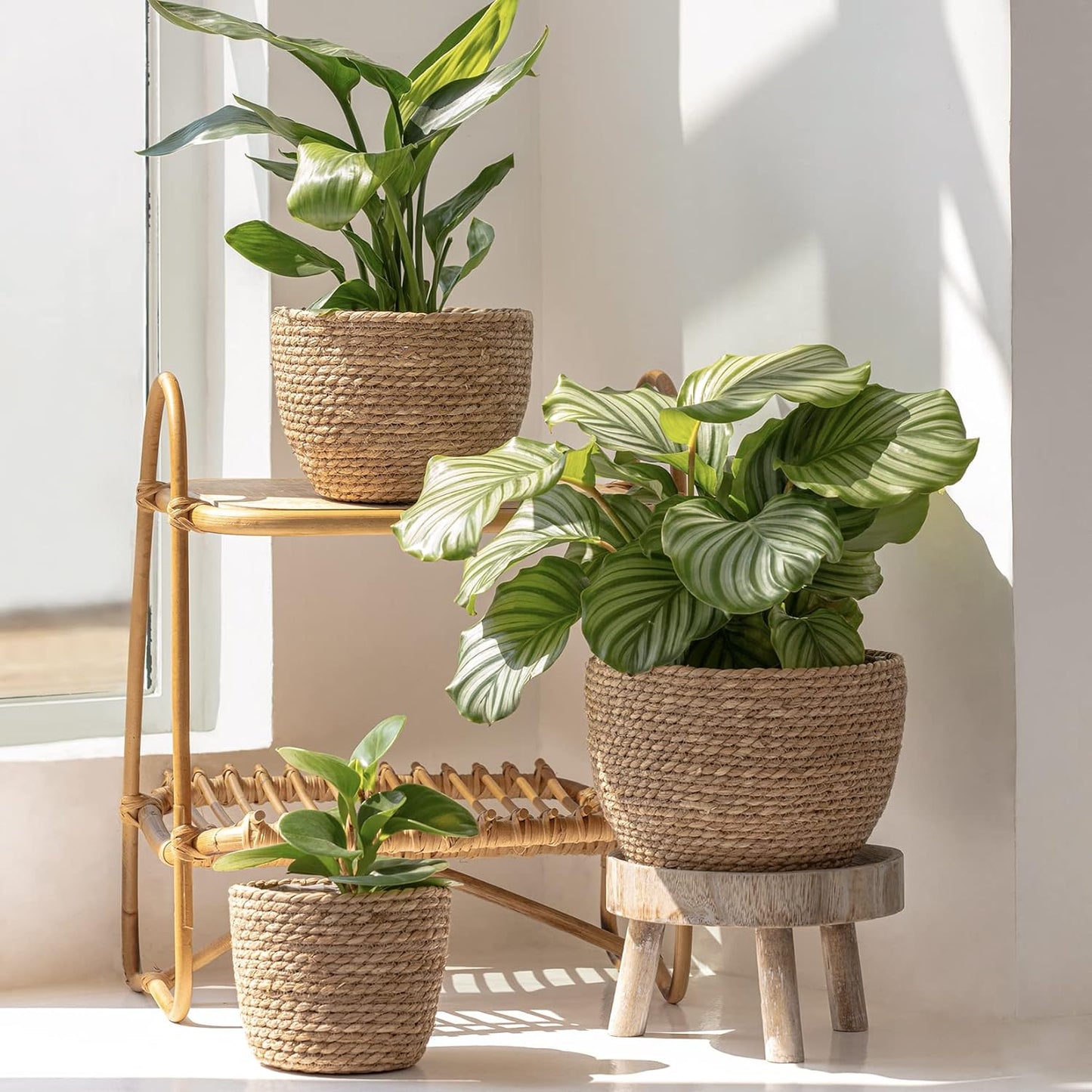 La Jolíe Muse Seagrass Planter Basket Indoor / Brown / 10.2"+8.7"+6.7 / Set of 3