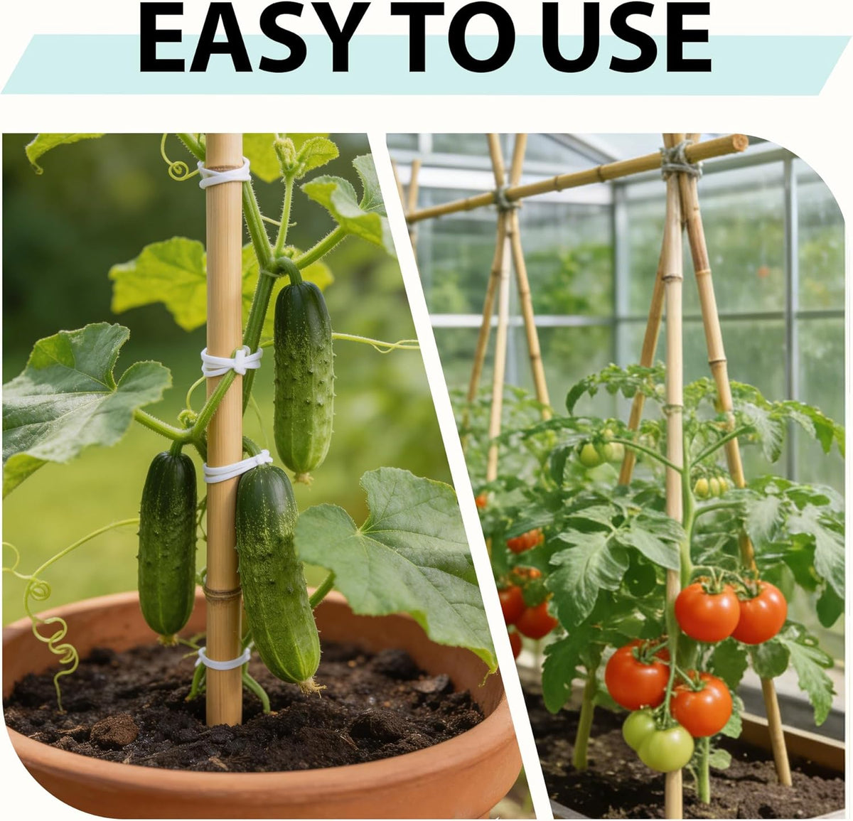 Bamboo Stakes 8FT, 10pcs Garden Stakes 94inch Specifically Designed for Climbing Plants, Ideal for Tomatoes, Beans