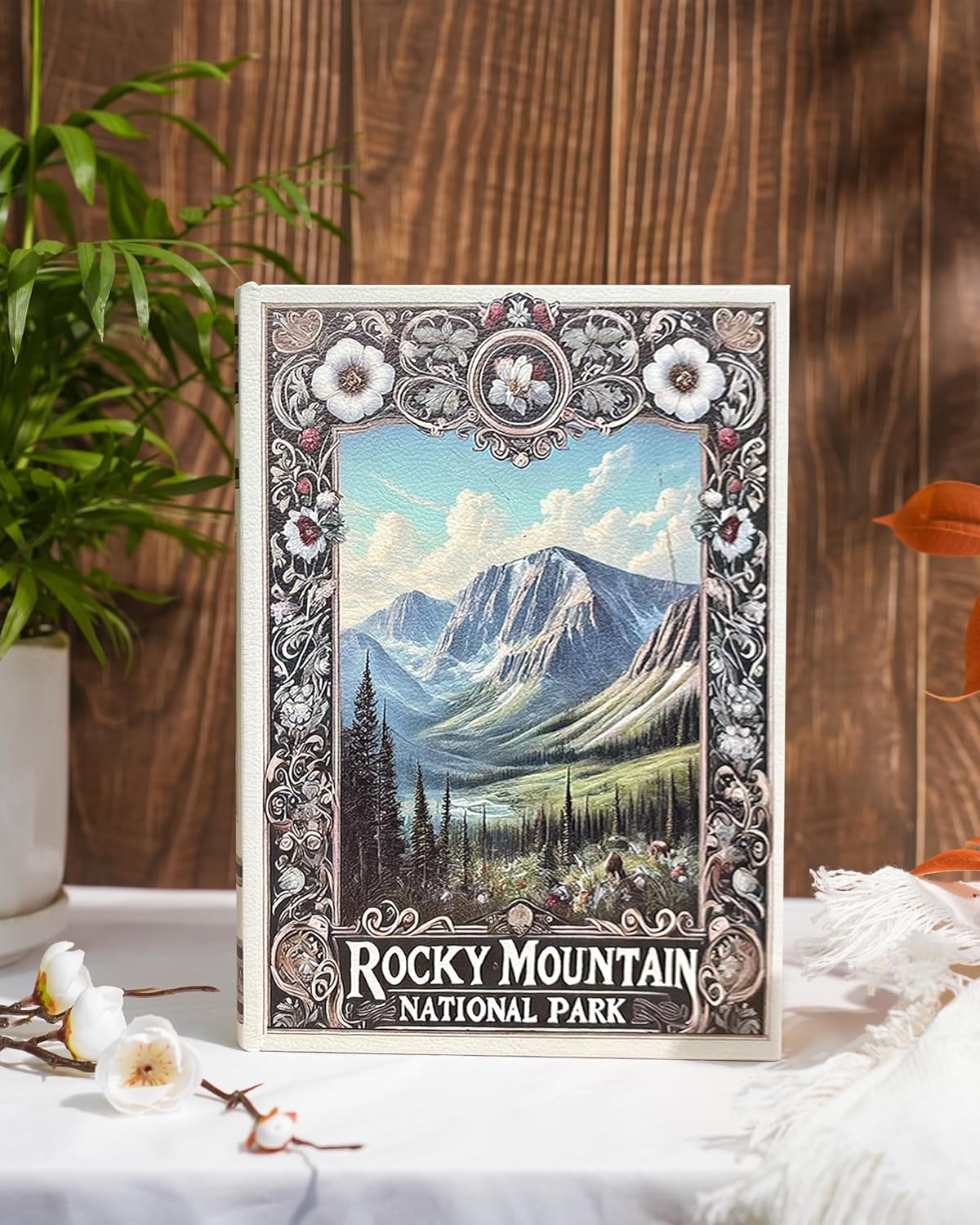 Vintage Faux Book Boxes / Rocky Mountain