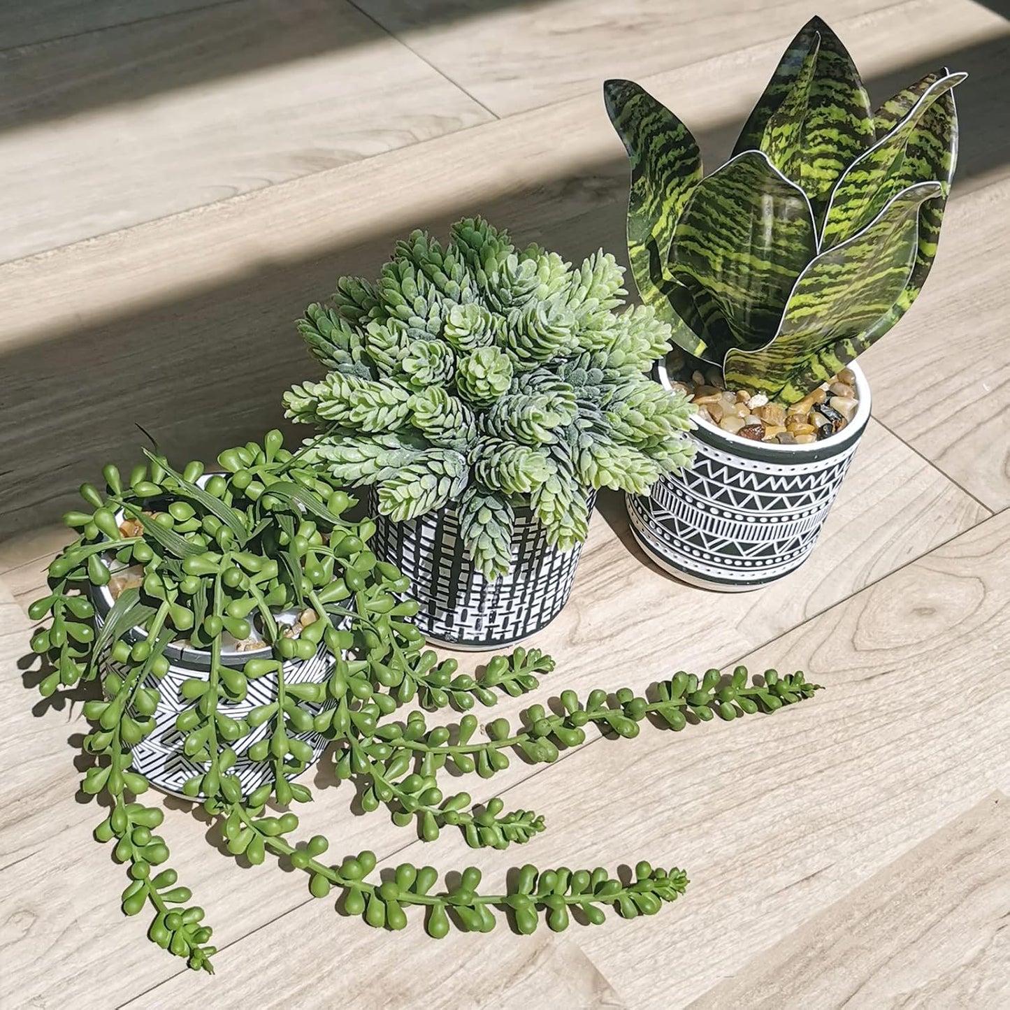 Small Potted Plants Artificial Succulents Hanging Plants and Faux Tropical Snake / Black / Set of 3