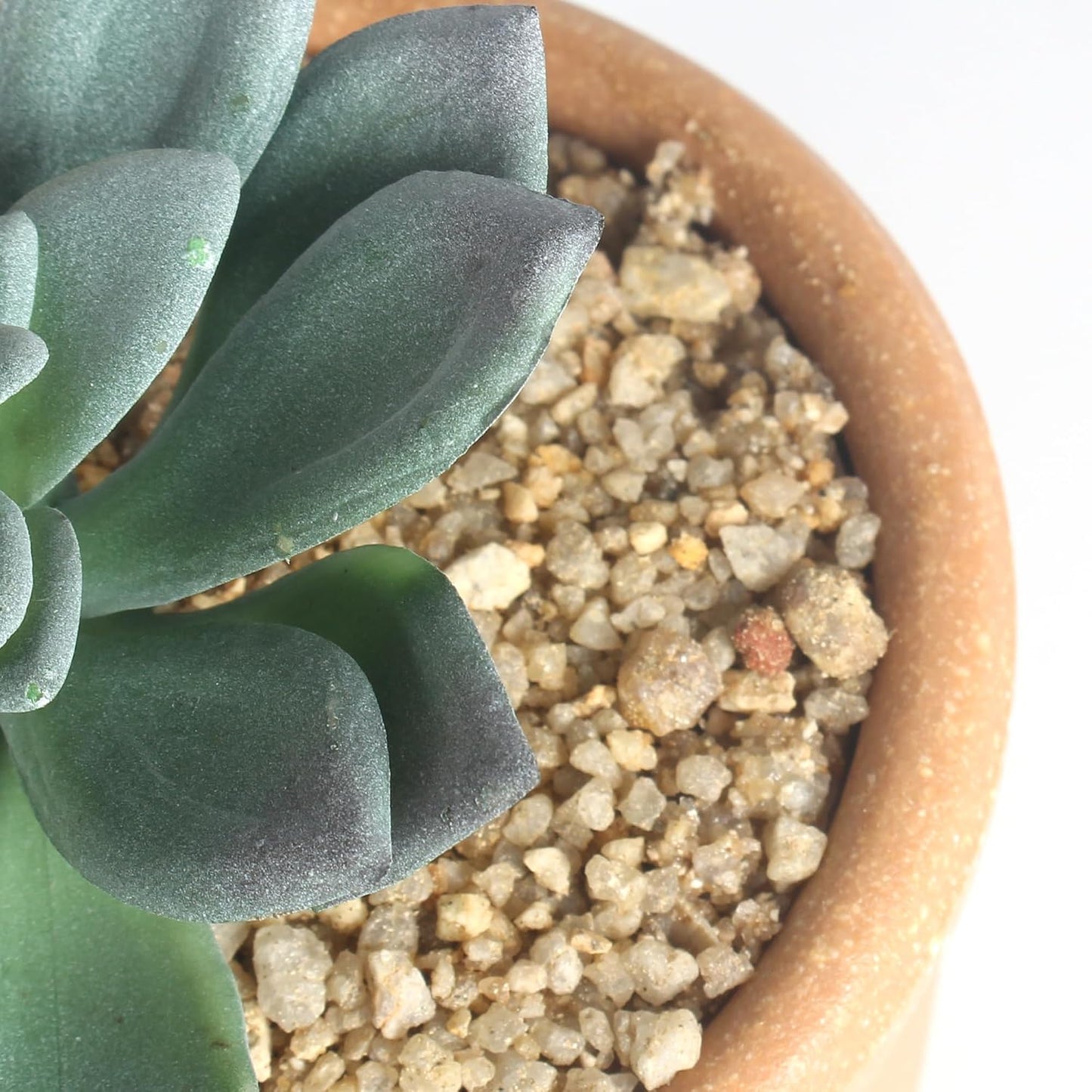 Artificial Succulent Plants Potted False Succulent Plants Potted Faux Potted Plant Family / Set of 3