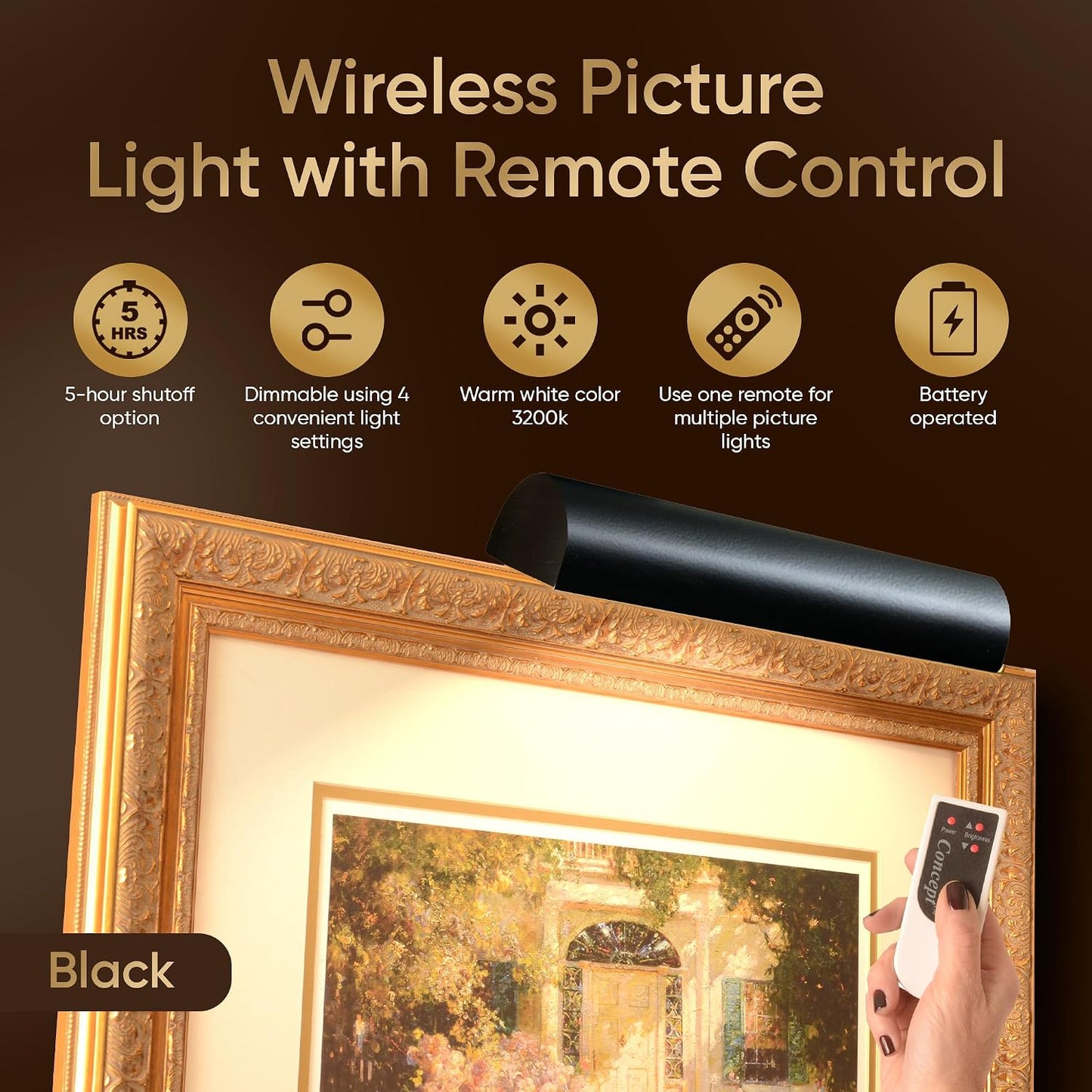 Concepdesigns Picture Light, Battery Operated Picture Light, Dimmable Wireless Picture Lights for wall, Art Light