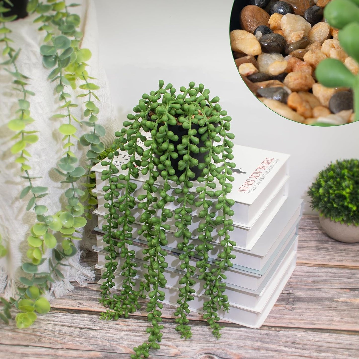 Lifelike Artificial Plant / String of Pearls / Black / Set of 2