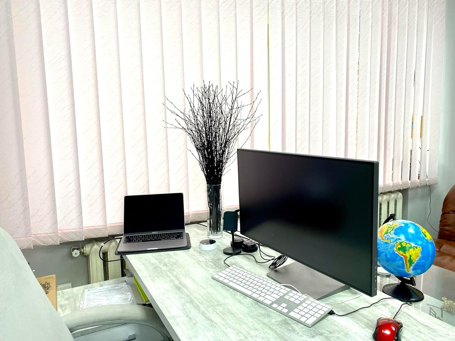 Birch Branches / Long for Floor vases / 25 Psc - Black / Set of 20