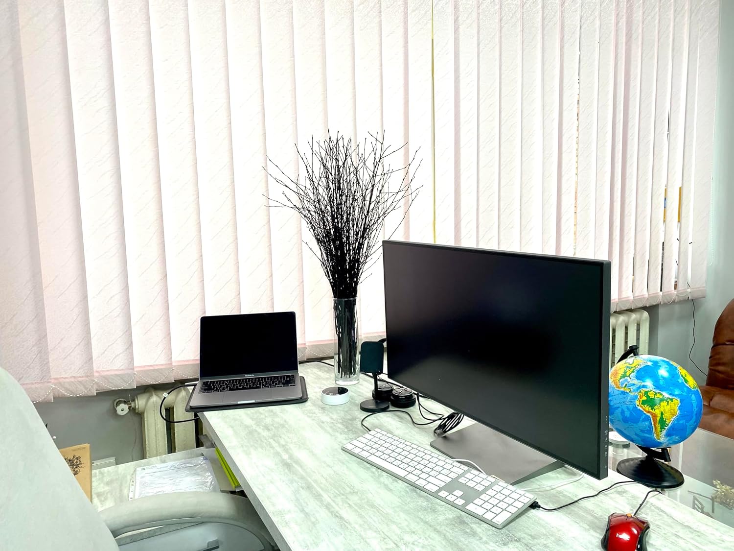 Birch Branches / Long for Floor vases / 25 Psc - Black / Set of 20