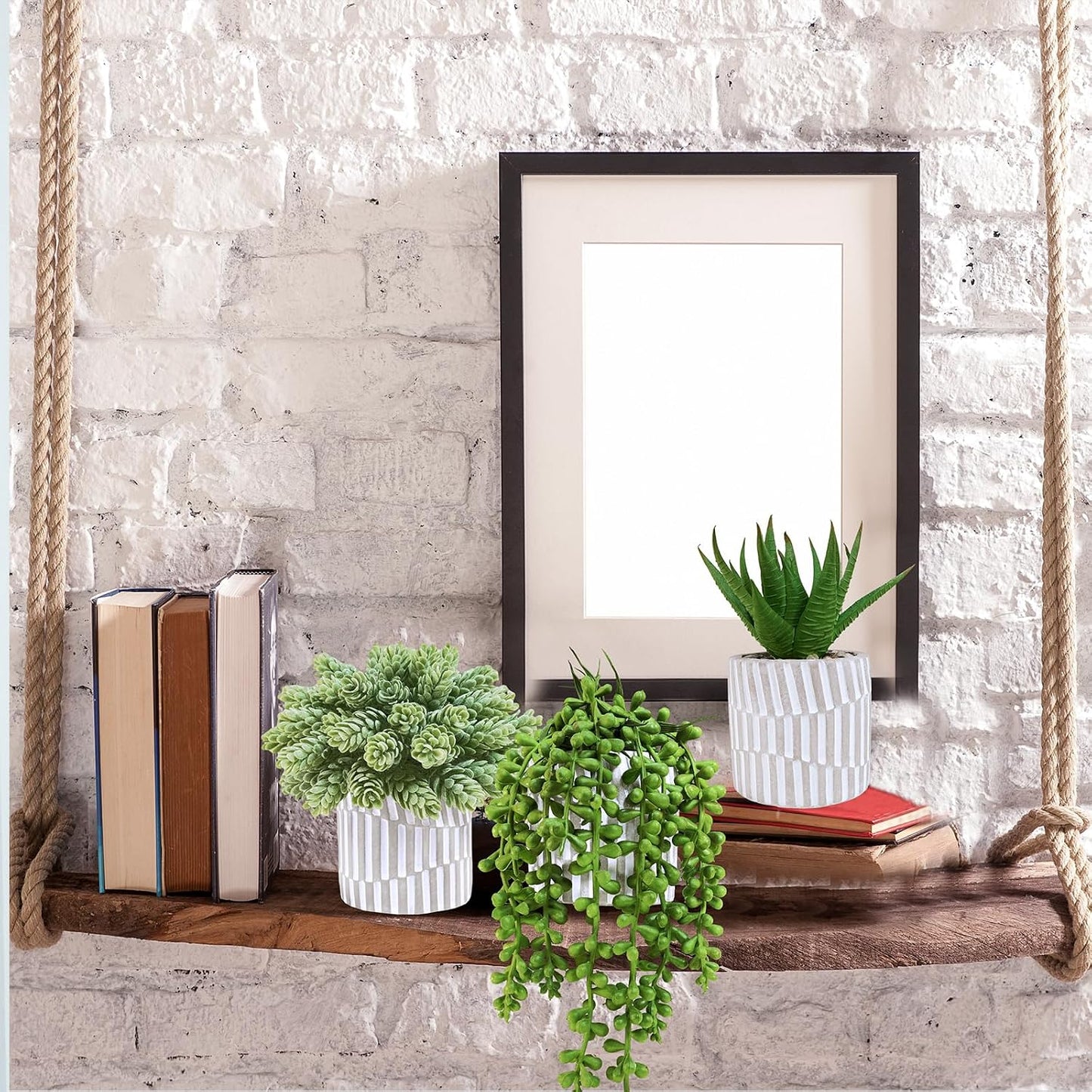 Small Faux Succulent Plants Fake String of Pearls Aloe Hops Succulents / Gray / Set of 3