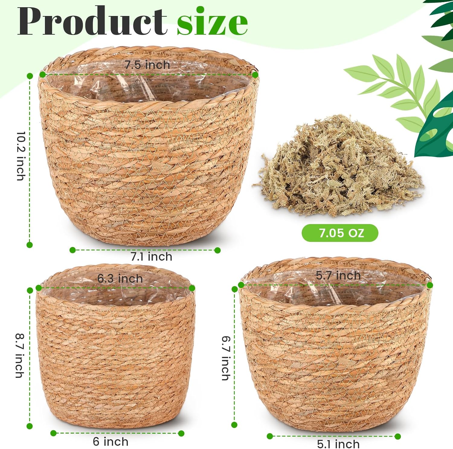 Seagrass Plant Basket Indoor / Set of 3
