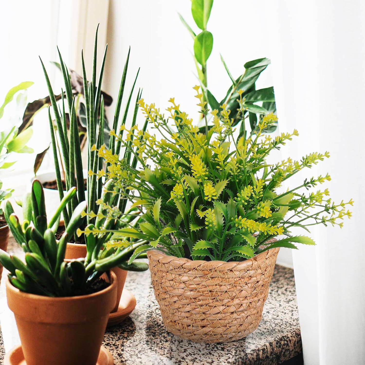 Hand-Woven Seagrass Plant Basket Planter / Set of 2