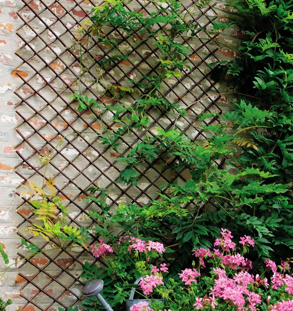 Expandable Garden Trellis Plant Support Willow Lattice Fence Panel for Climbing Plants Vine Ivy Rose Cucumbers Clematis