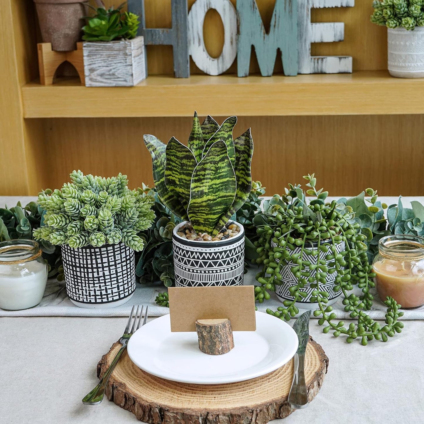 Small Potted Plants Artificial Succulents Hanging Plants and Faux Tropical Snake / Black / Set of 3