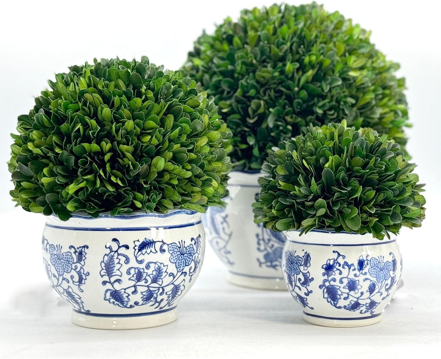7" Naturally Preserved Real Boxwood Ball in Hand-Painted & White Round / Small 7" Round Pot / Blue