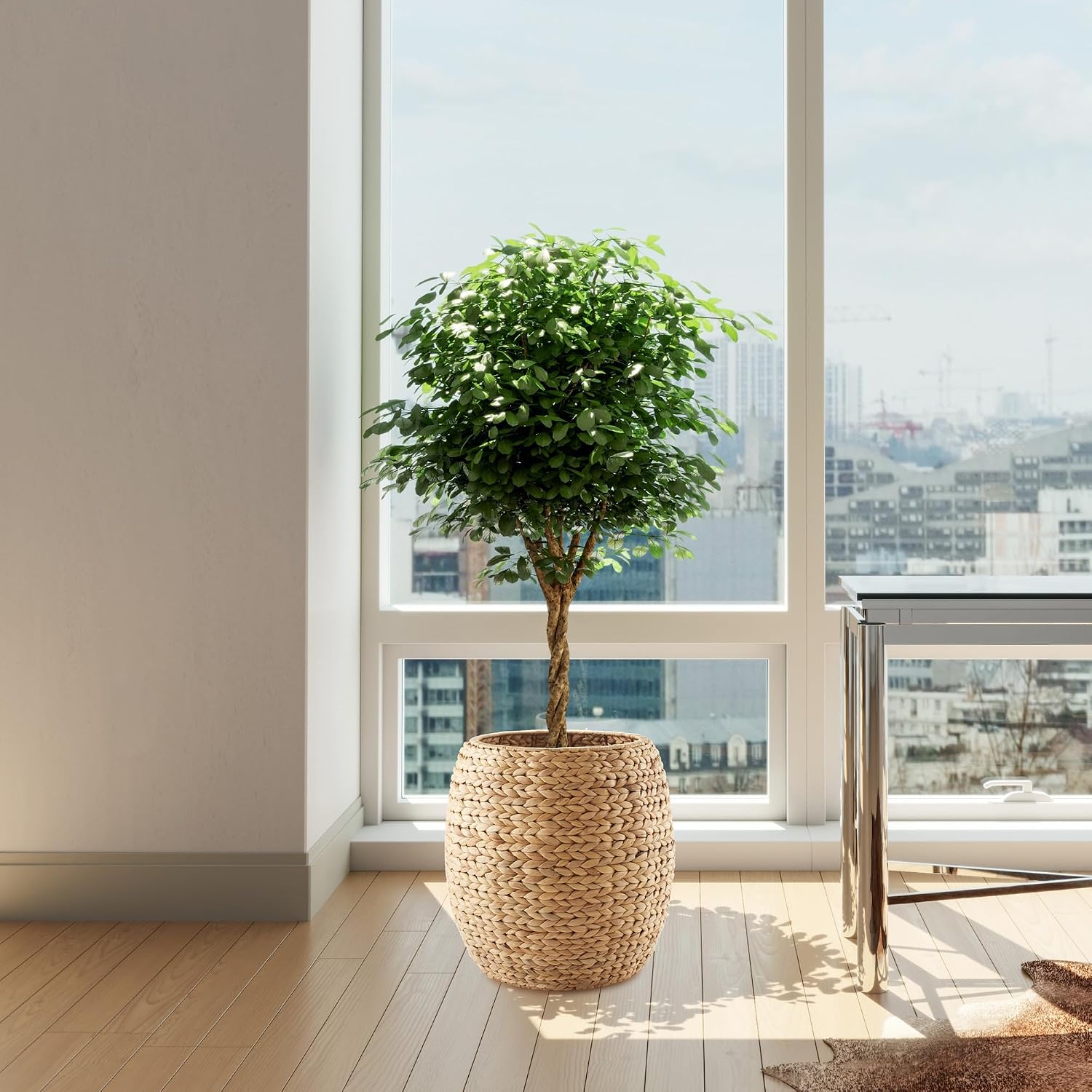 Plants / Round Storage Basket / Natural