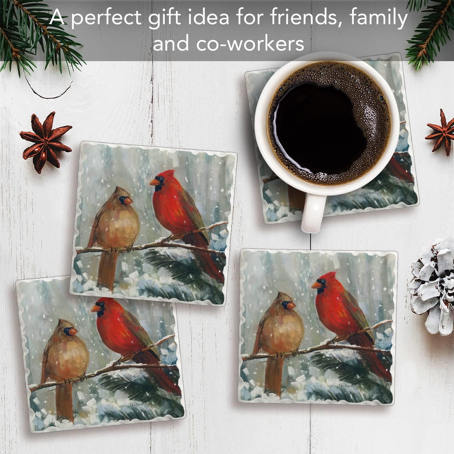Thirstystone Assorted Tumbled Tile Stone Coasters / Winter Birds / Set of 4