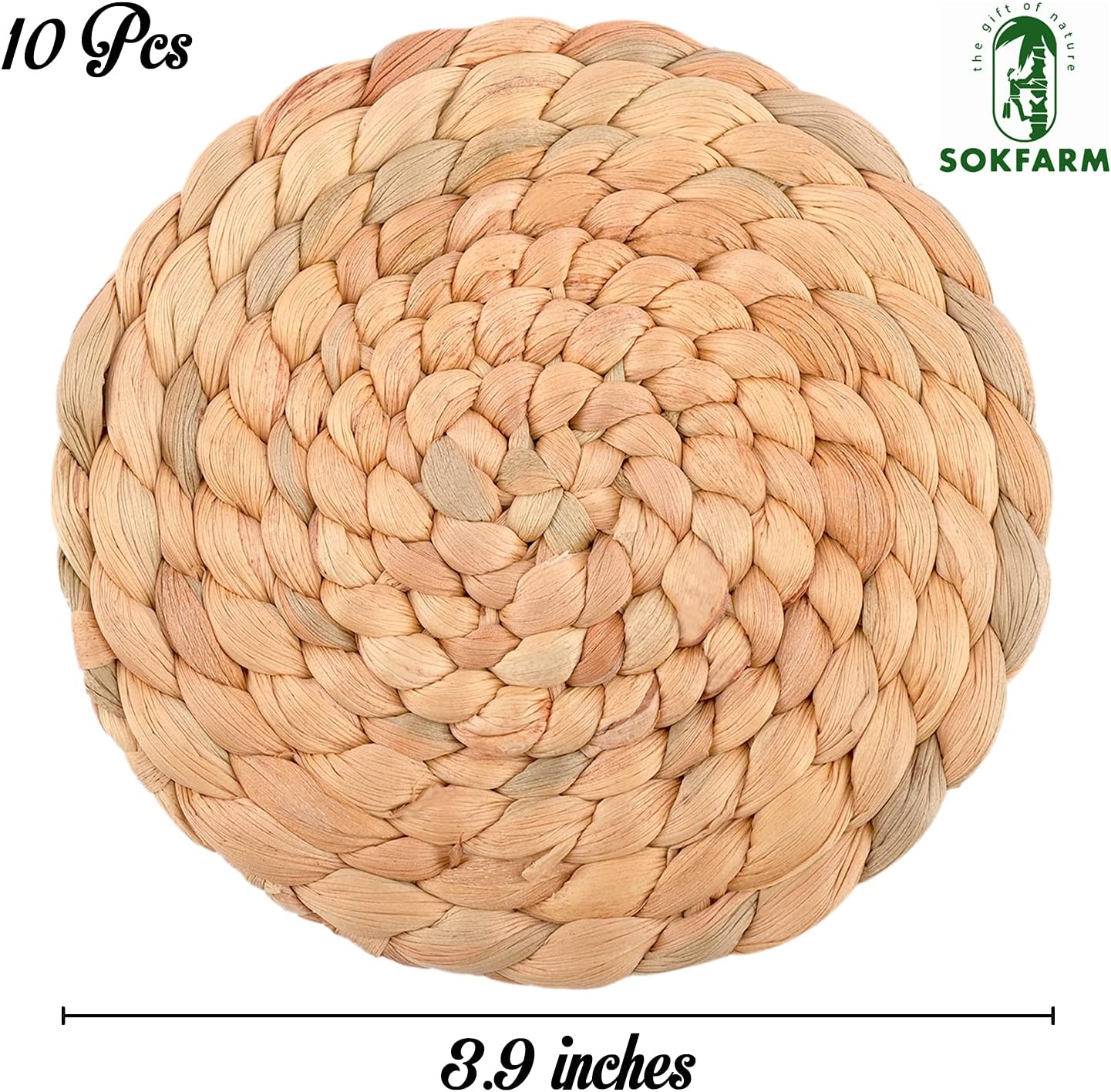 Home Goods Decor / Set of 10