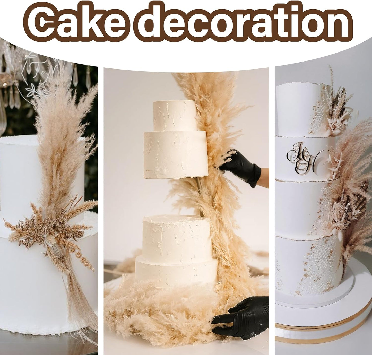 Tall Pampas Grass for Floor Vase / Natural / Set of 50