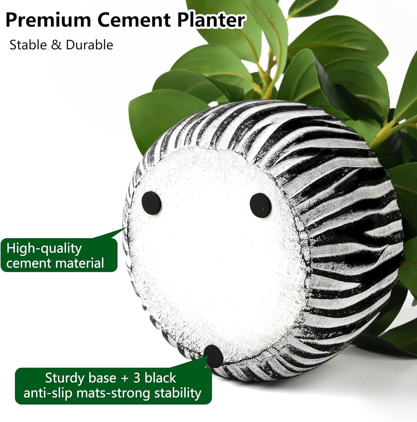Fig Leaf Greenery in Rustic Clay Planter / White & Black Cement Planter