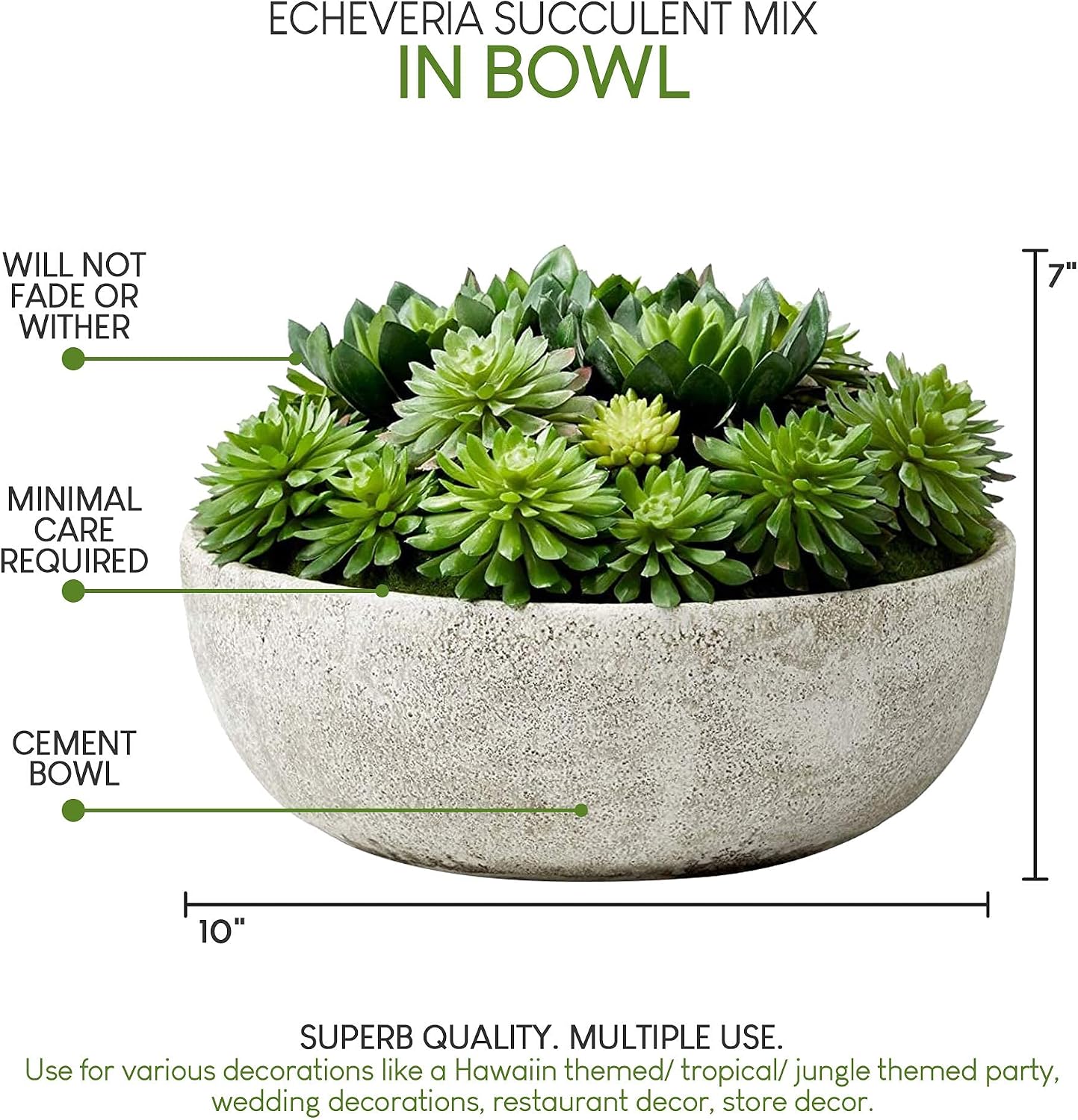 Real Looking Succulent / Echeveria Succulent Mix In Bowl